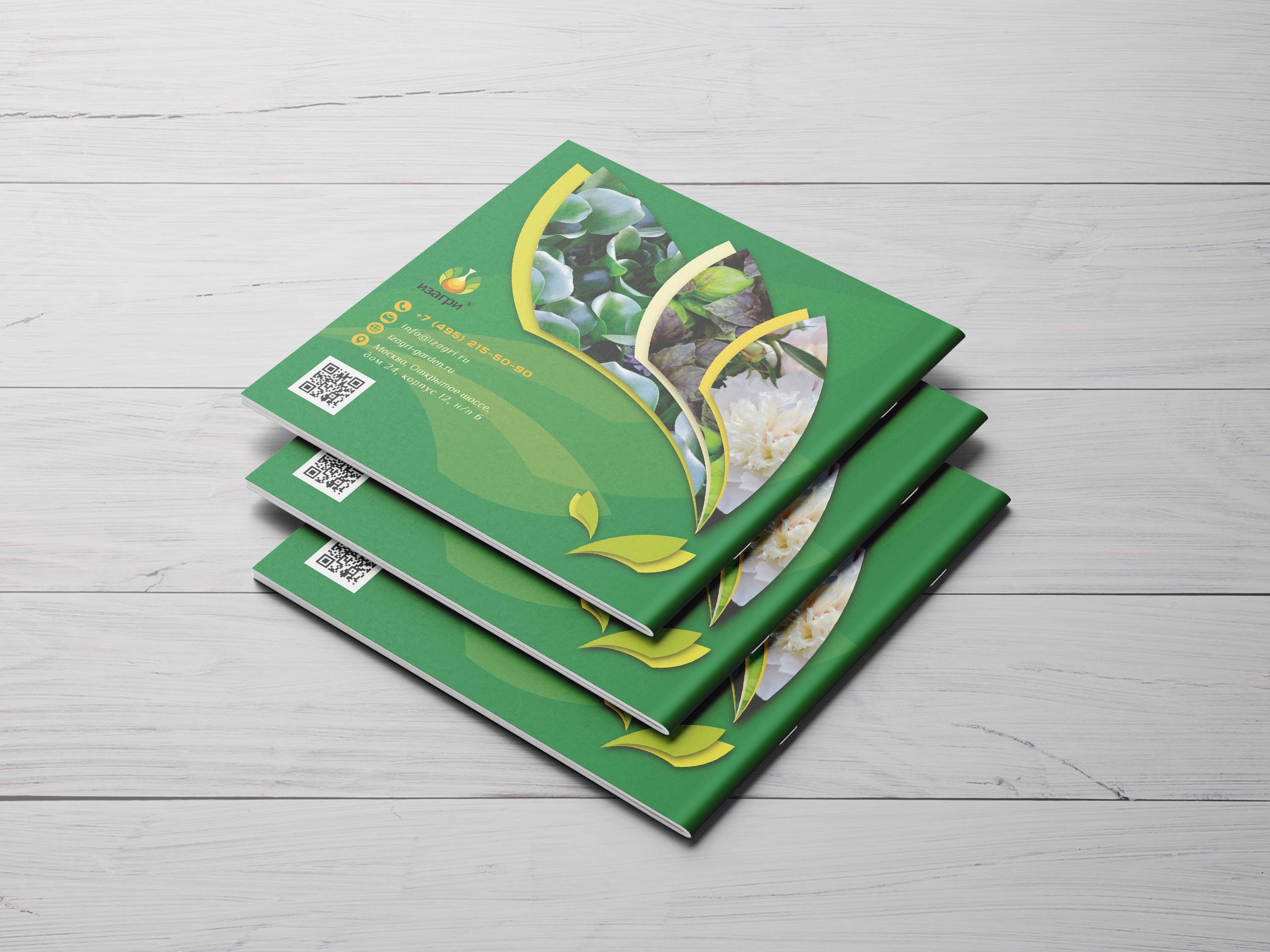 обложка оборот.jpg