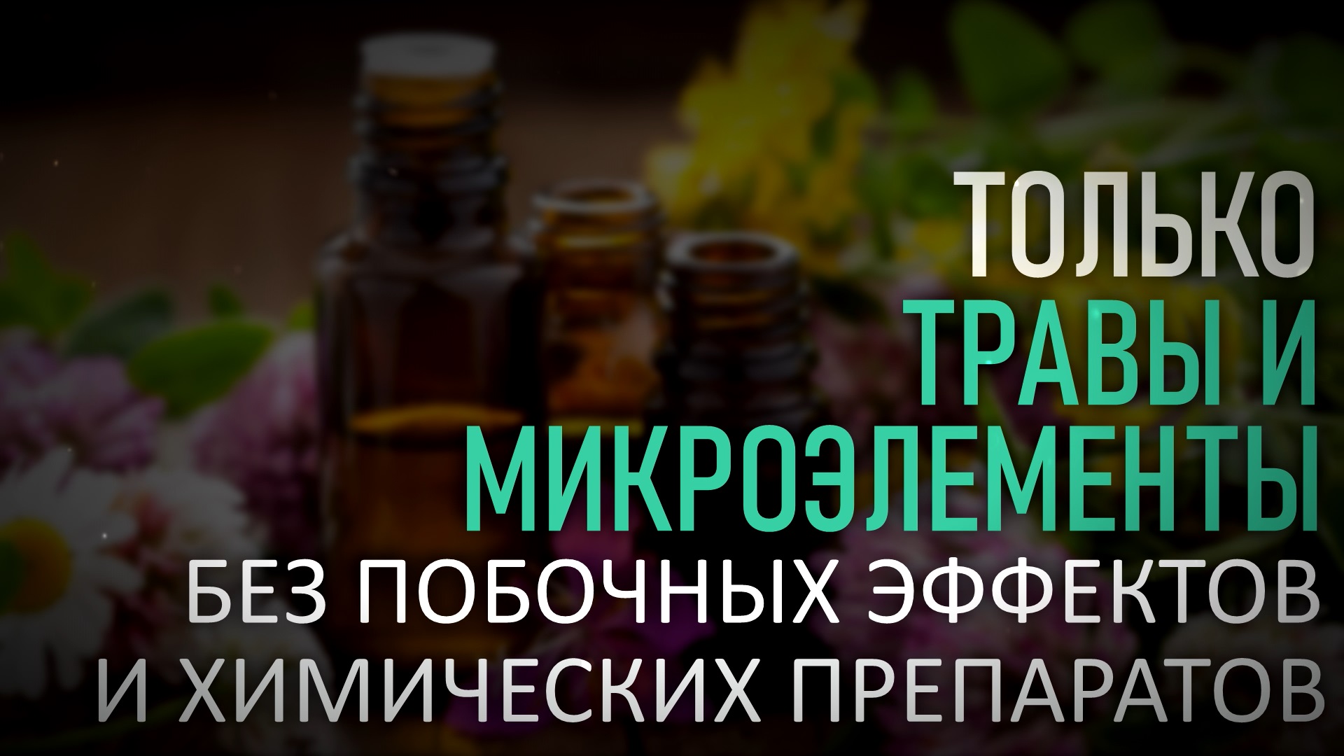 Док2.jpg