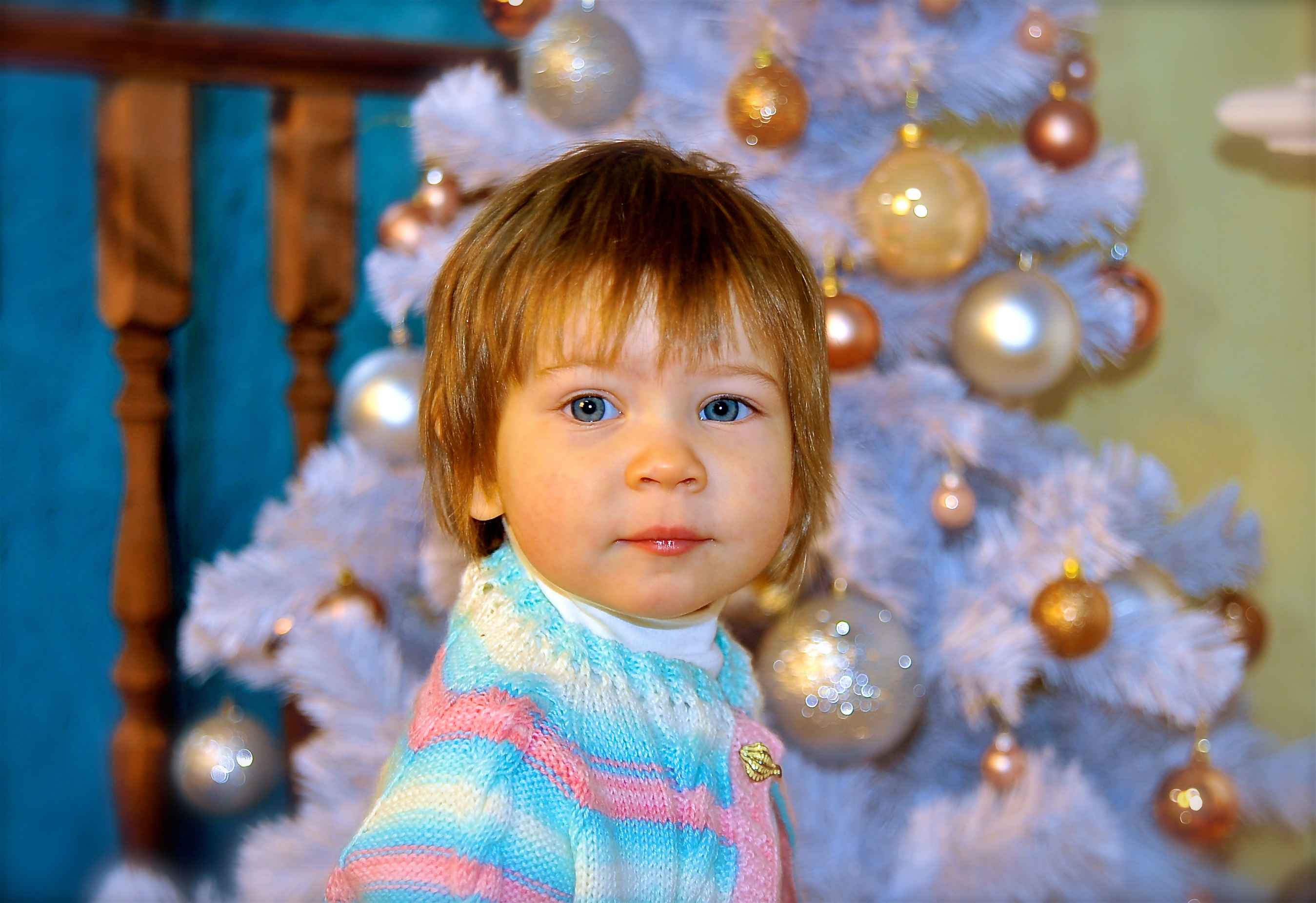 DSC_1448.JPG