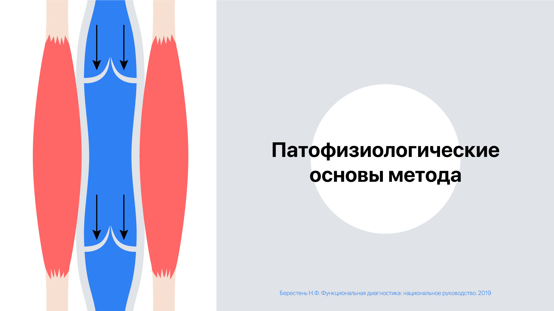 презентация4.jpg