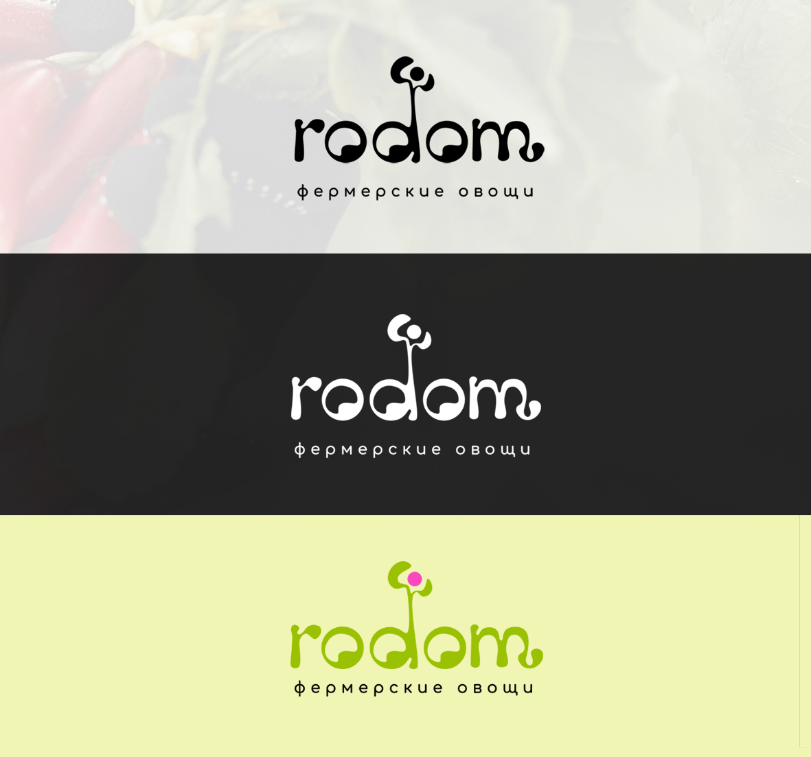 презентация фрилансродом.jpg