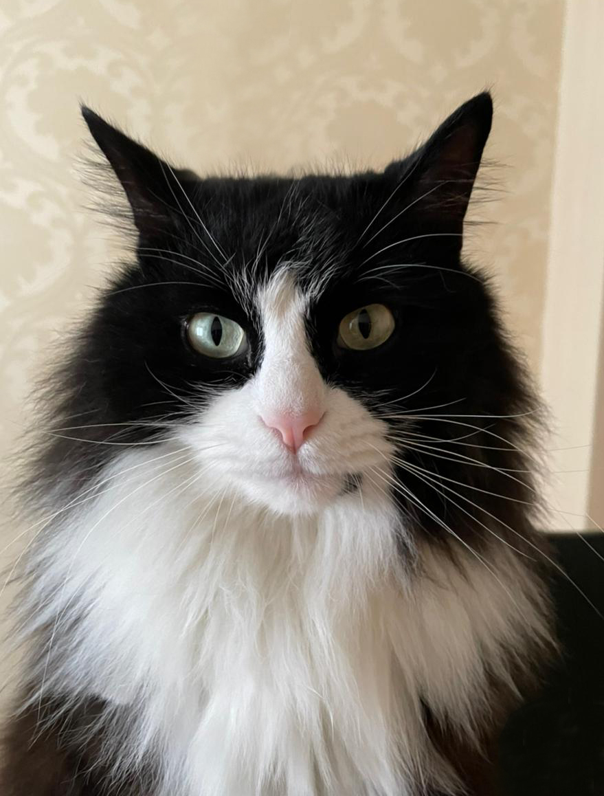 WhatsApp Image 2022-04-07 at 19.53.53.jpeg