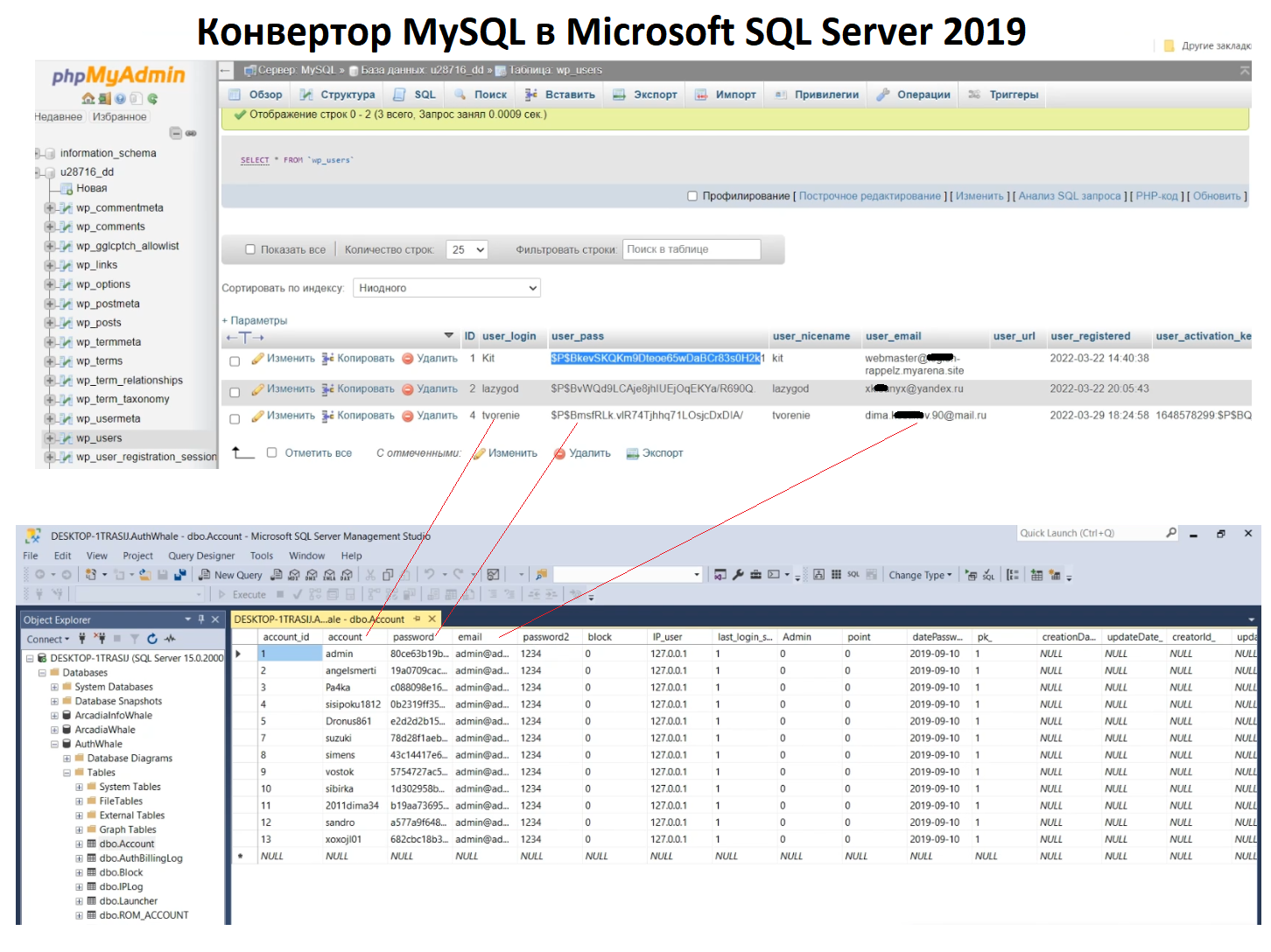 Конвертор MySQL в Microsoft SQL Server 2019 учётных записей.png