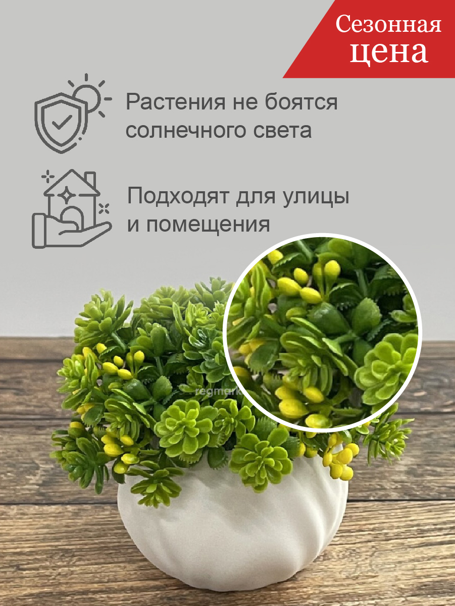 2искусственные растения.jpg