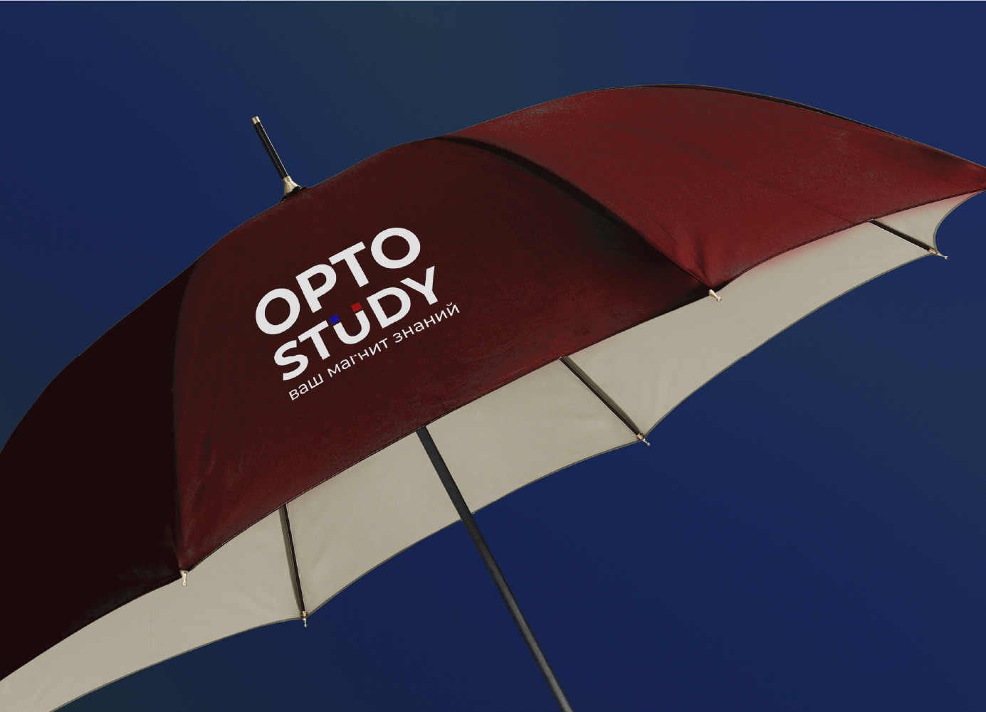 ОртоStudy 3.jpg