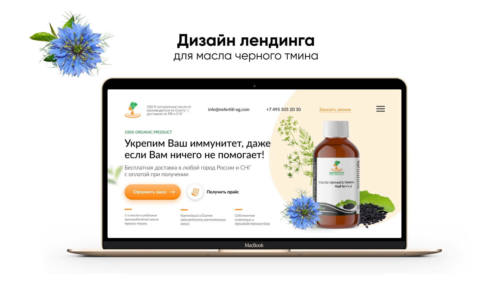 Тмин превью.png