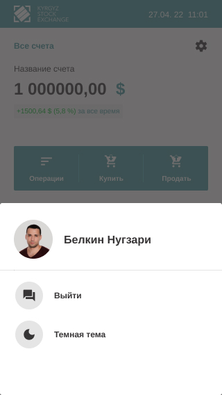 iPhone SE - 1 - Модал настройки.jpg