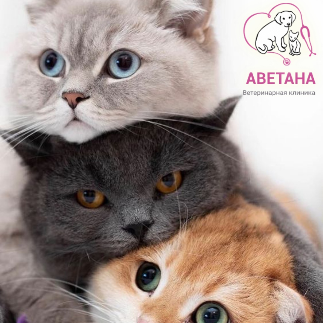 HZJE3lnKVtyh3w9_PEZiPiCqLGX6uJ5u8QyeJu-IIibZD81n6EHVg-MxDE4C8Juw