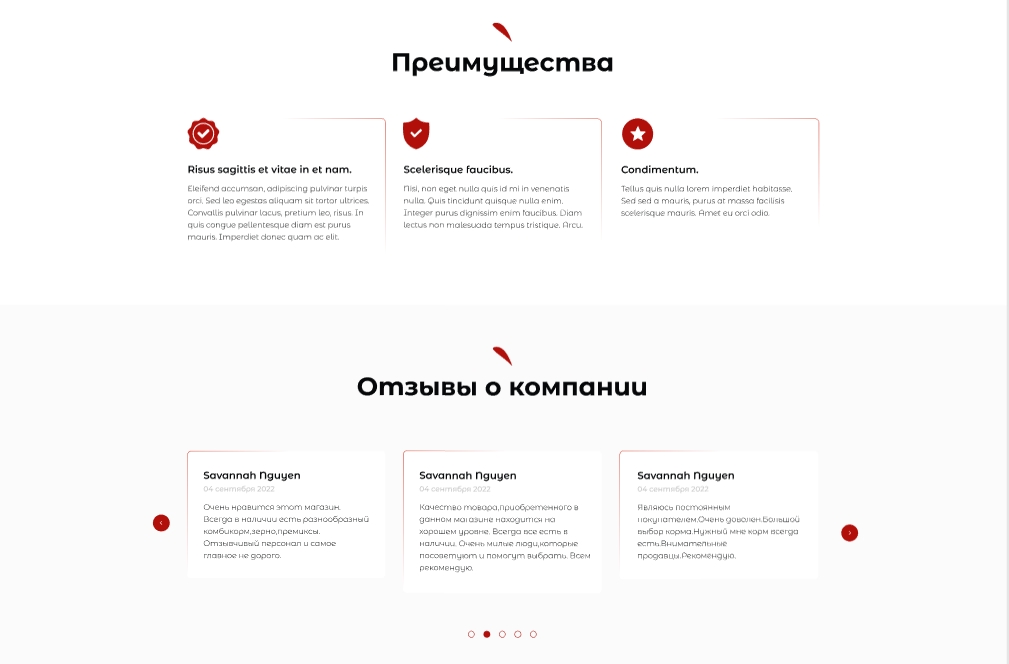 gorgadze – Figma - Google Chrome3.jpg