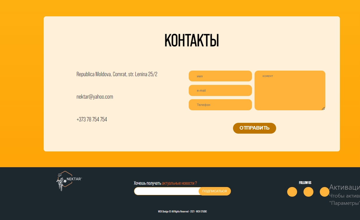 NEKTAR - Google Chrome2.jpg