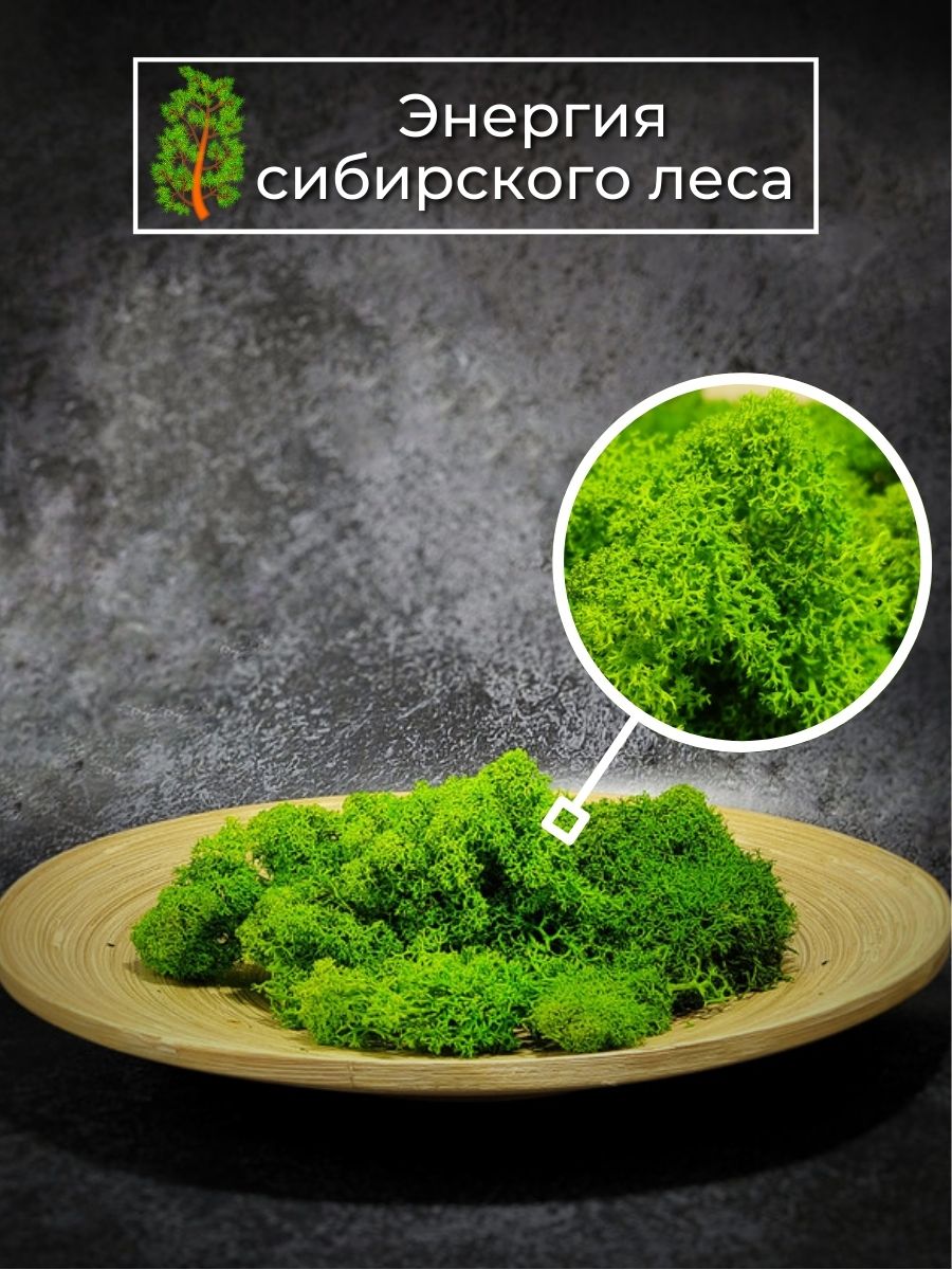 14 — копия — копия.jpg