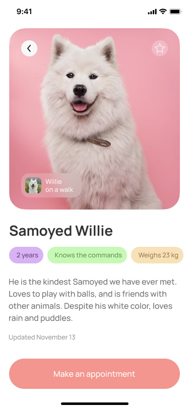 Экран животного.jpg