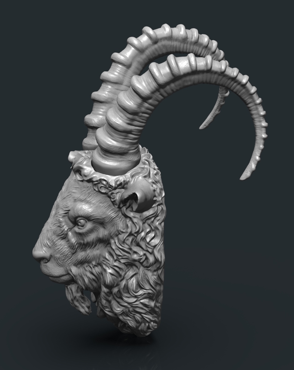 Goat Head.17.jpg