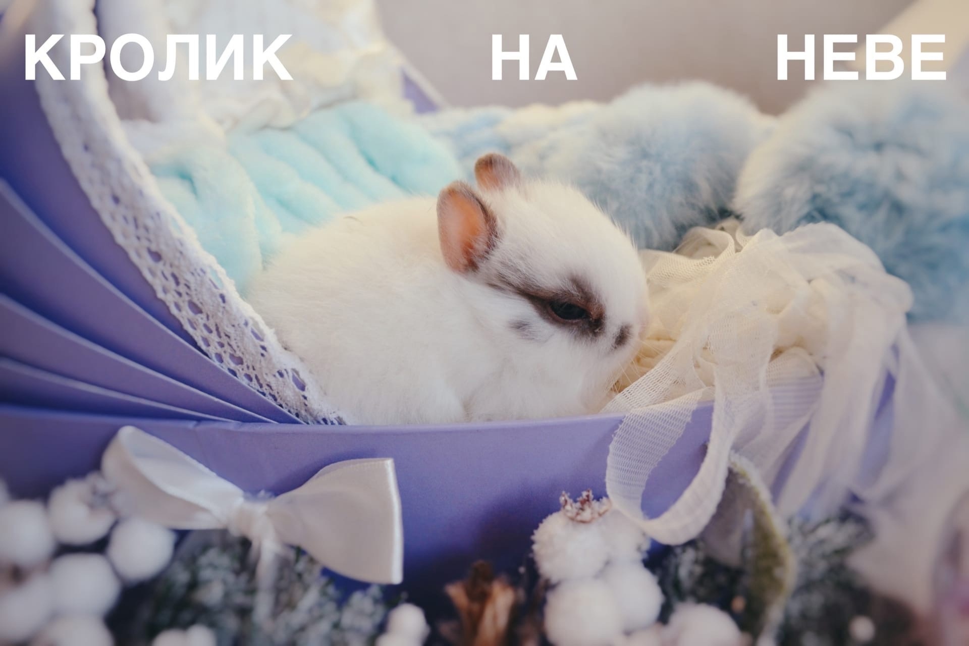 fxXfPol90VSwWhhpJcODr_K5yIVxeDF6EyUET_8OTFpnDzIcfy3GwopO5aYw3fNy