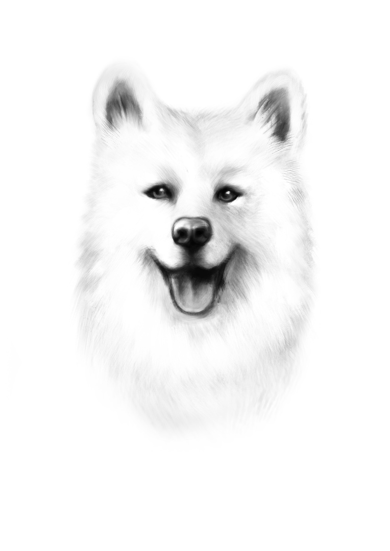 J8FSJ9lQ8PD4pNzhTVosb1iI8coqlUD_eiYbrT-Ln2NkfAGPmFJzN4v1ptXk7Lhr