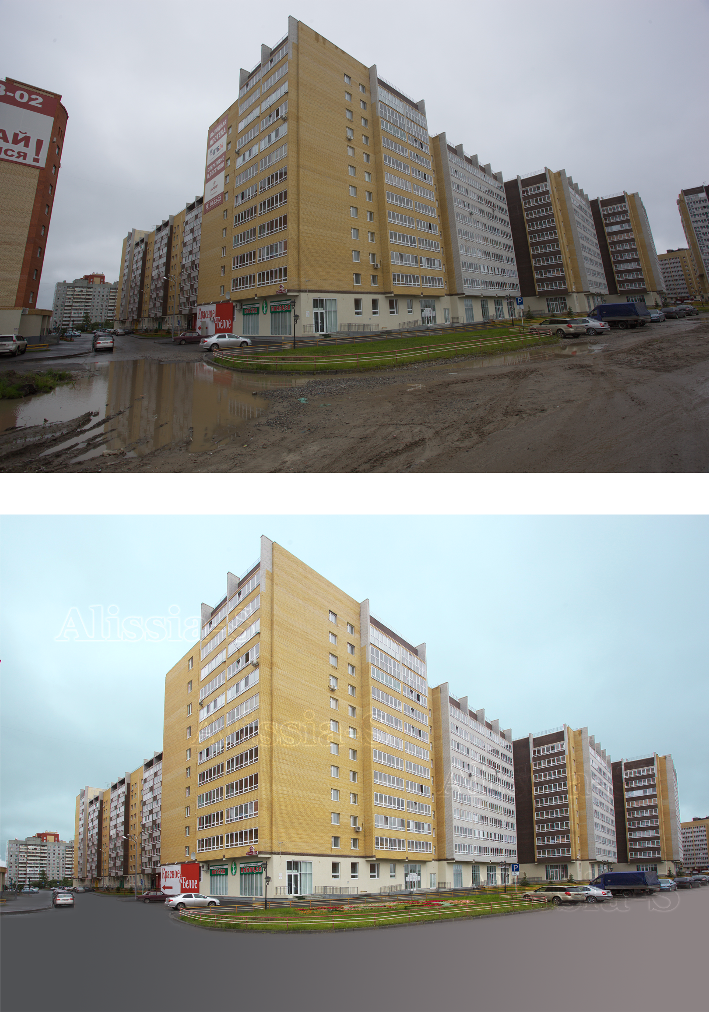 IMG_2571-1 copy.png