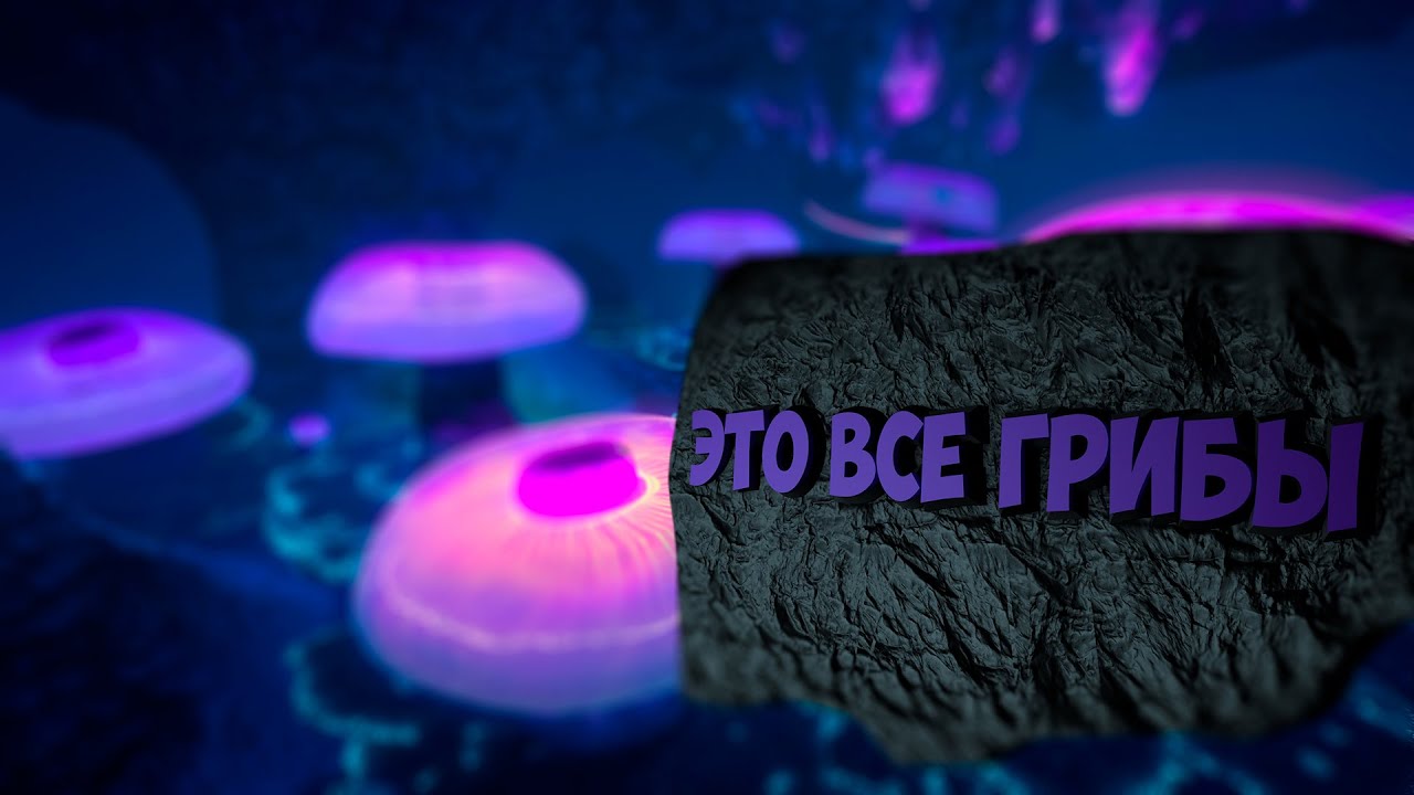 maxresdefault (3).jpg