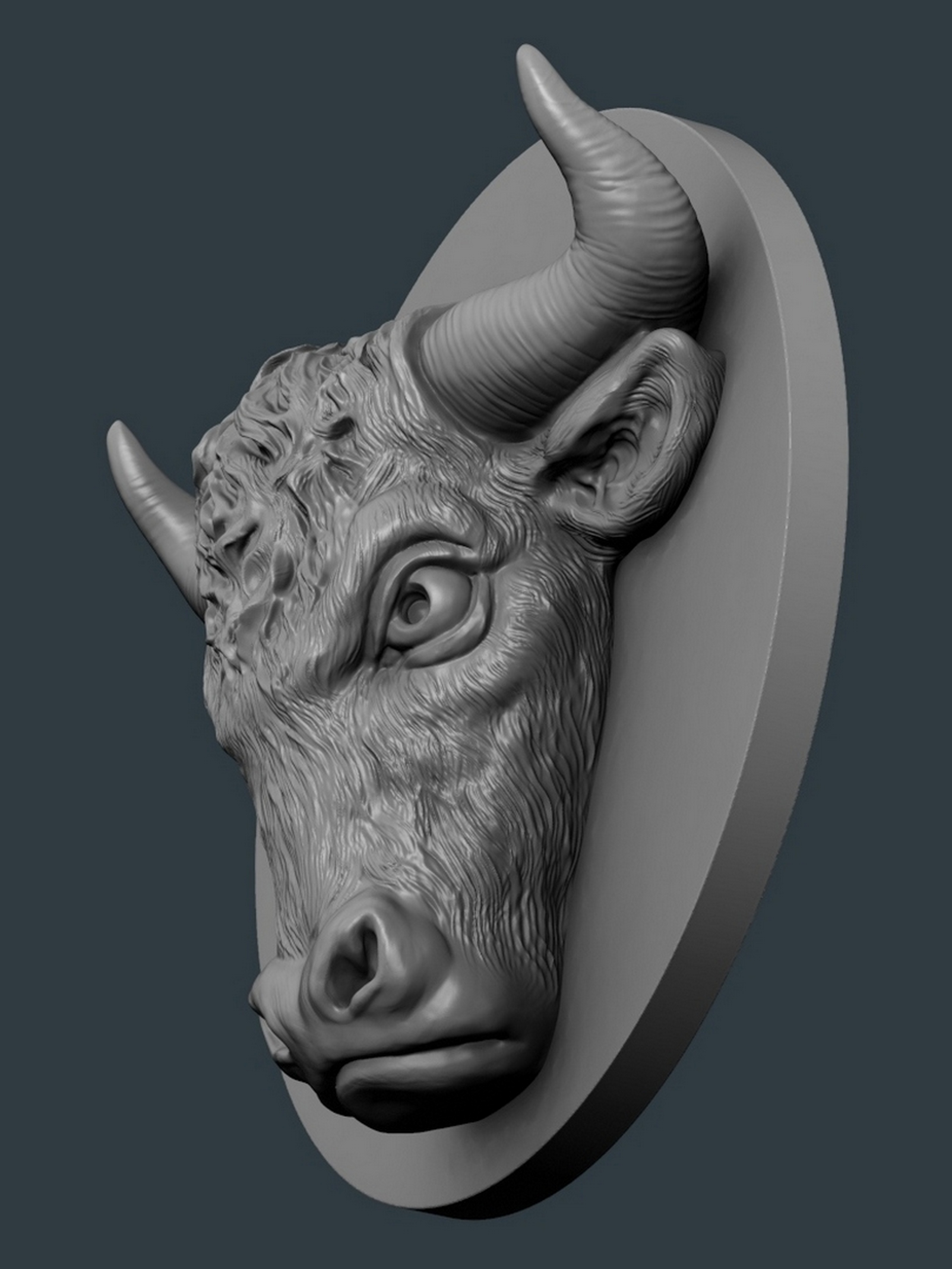 Bull_H6.jpg