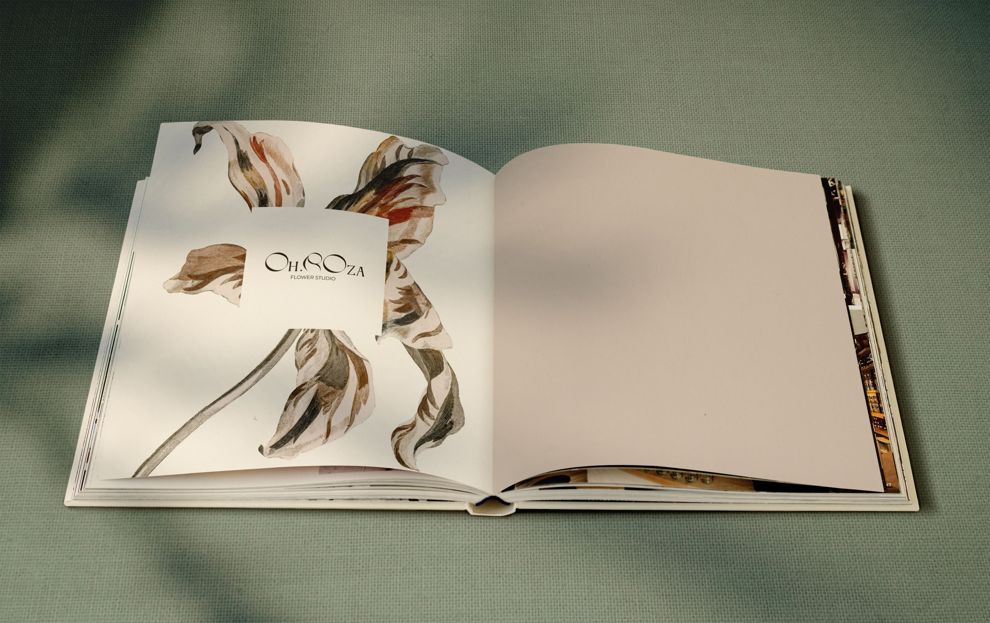 OH.ROZA МОКАП 2. .jpg