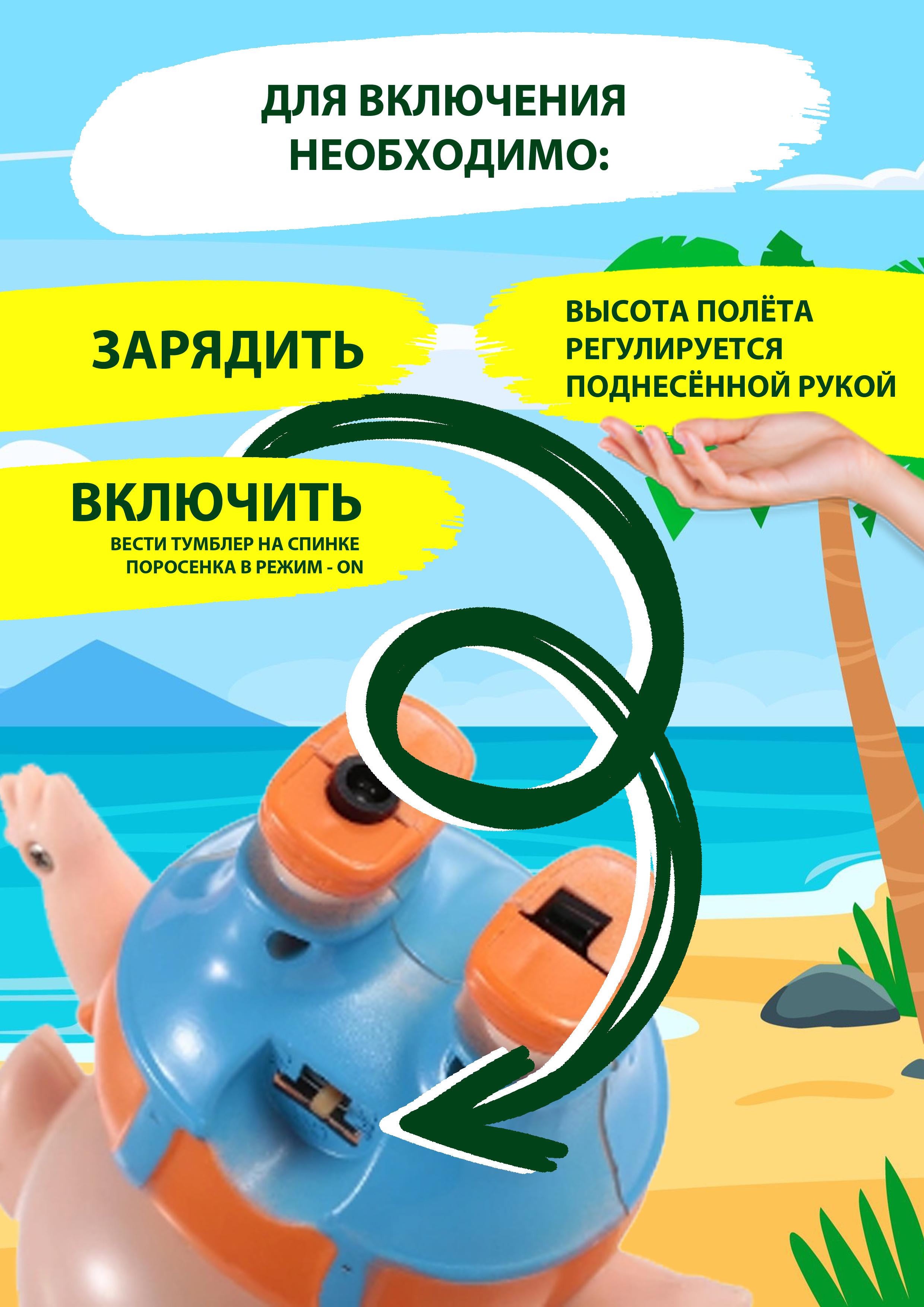 Поросенок ИНФО 2.jpg