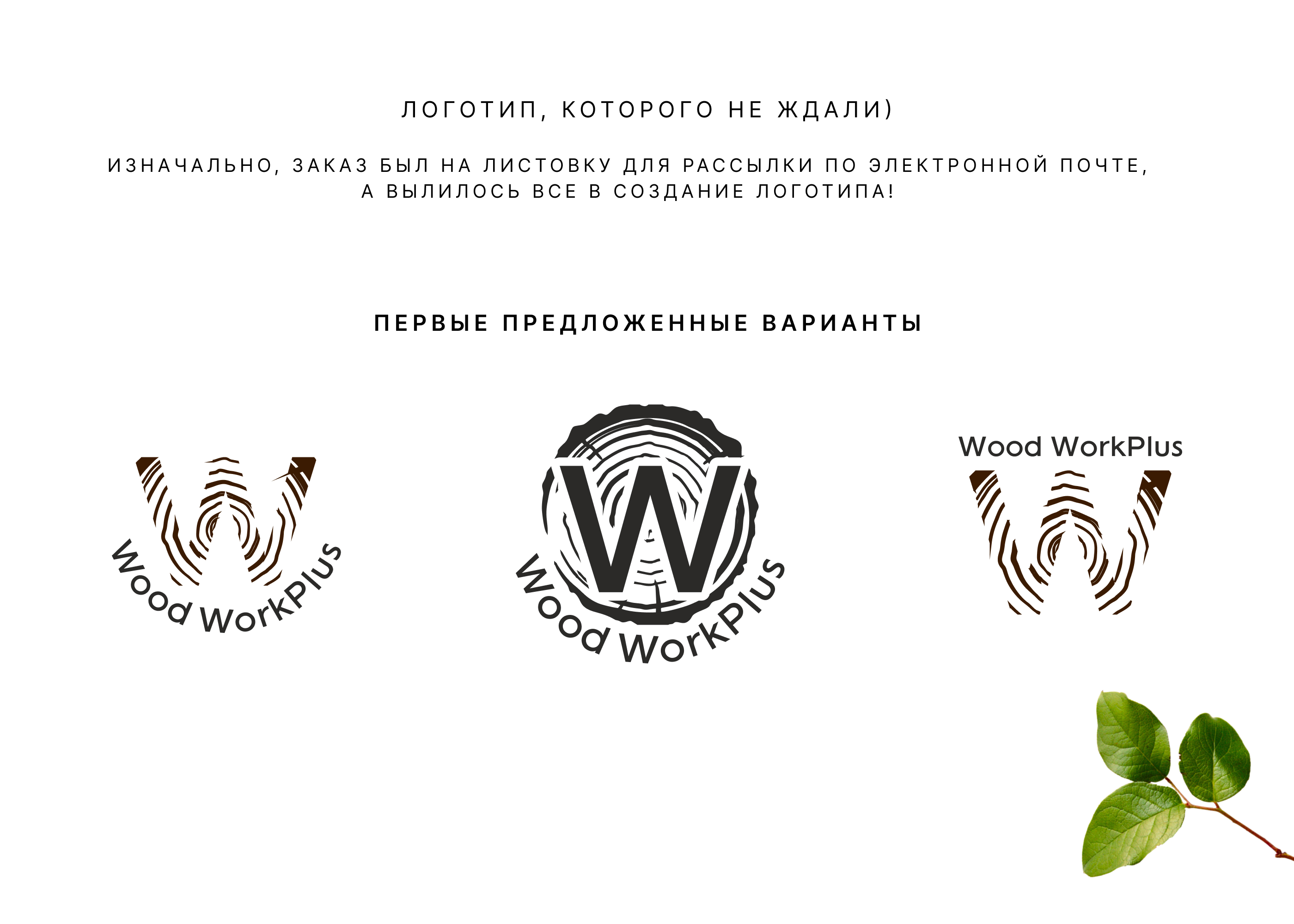 Шаблон упаковки2.jpg