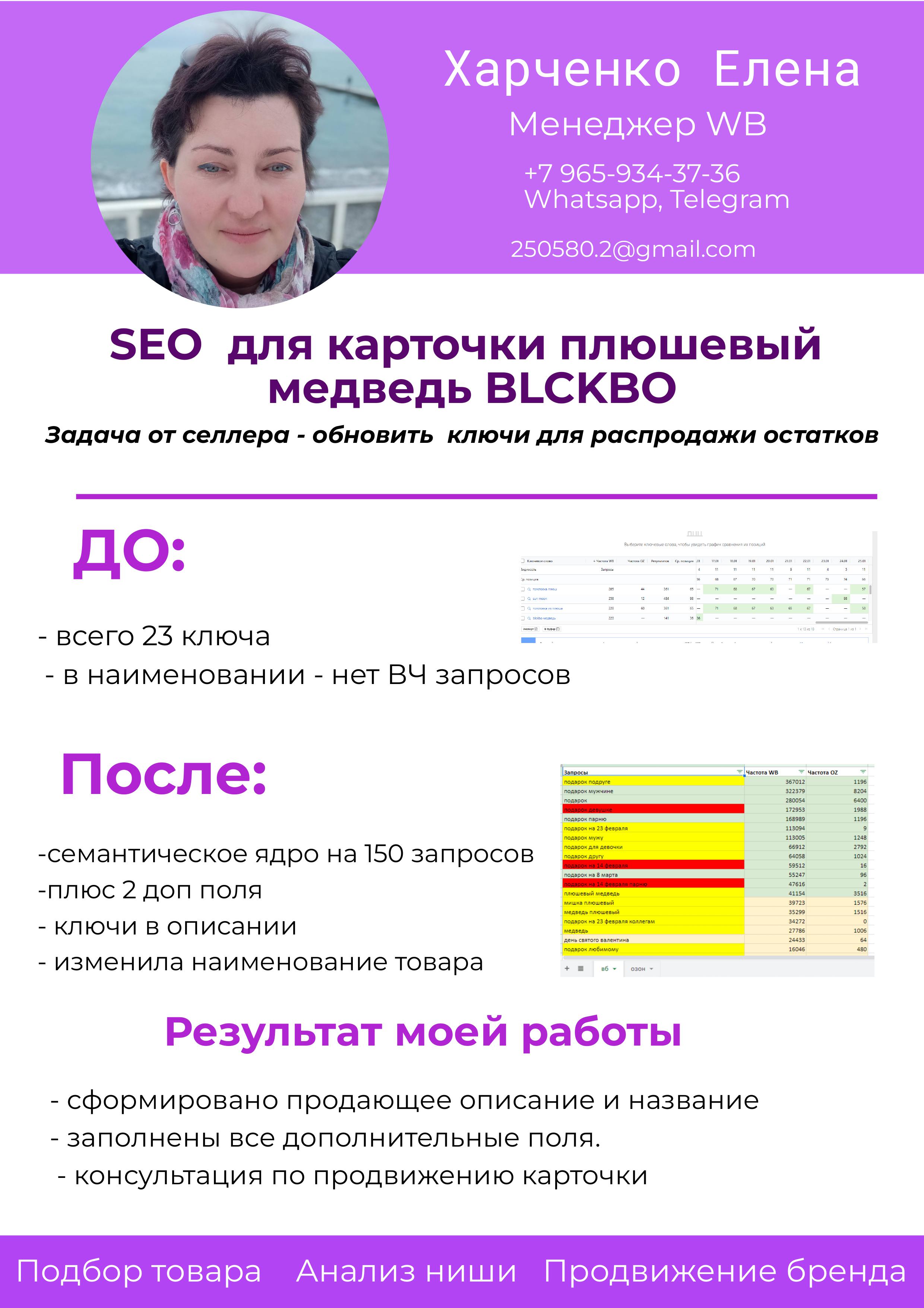 сео мишка.jpg