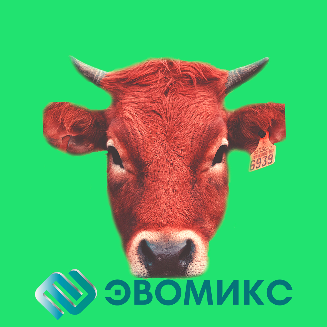 ЭВОМИКС лента 1 этап шаблон.jpg