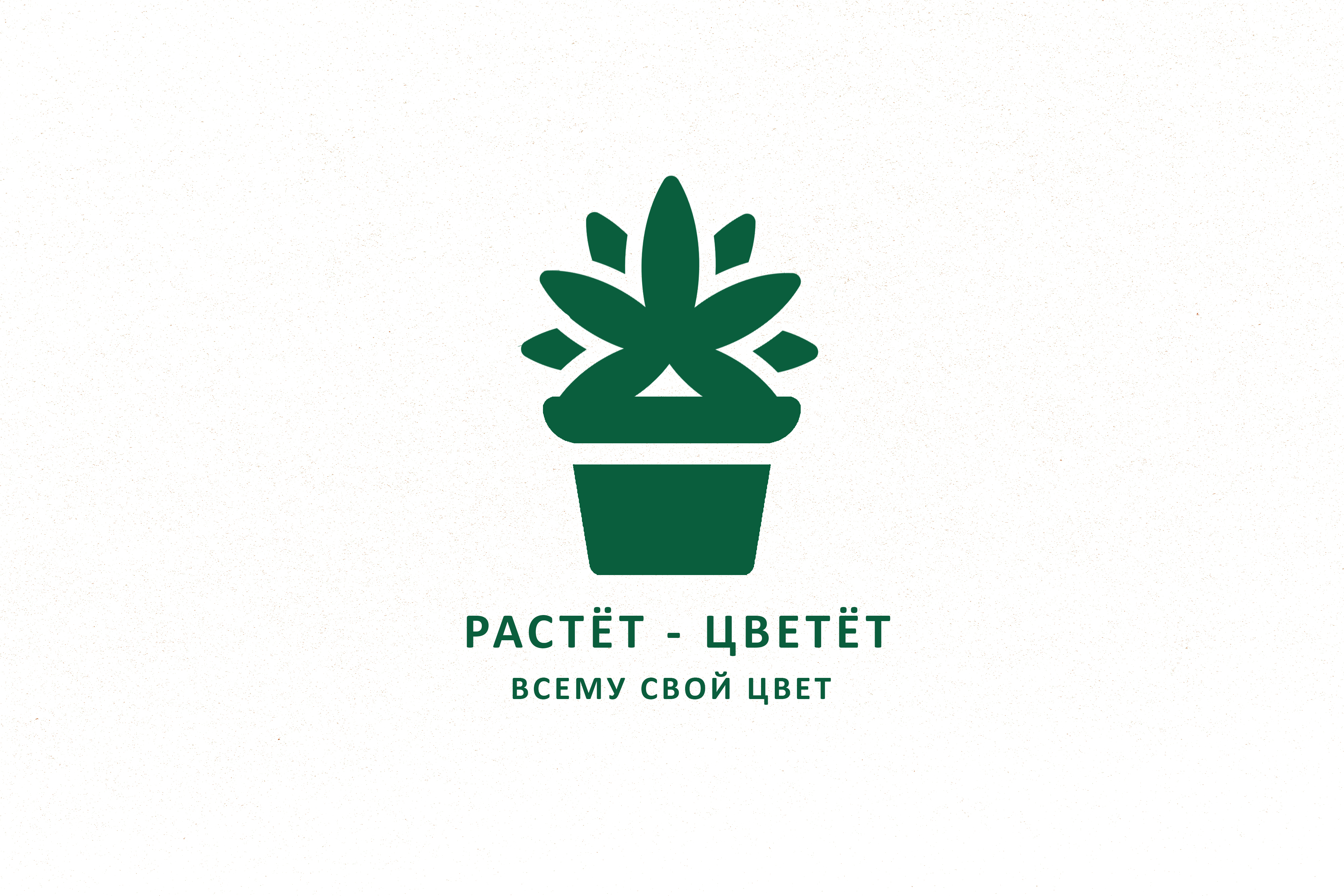 ЦВЕТ 3.jpg