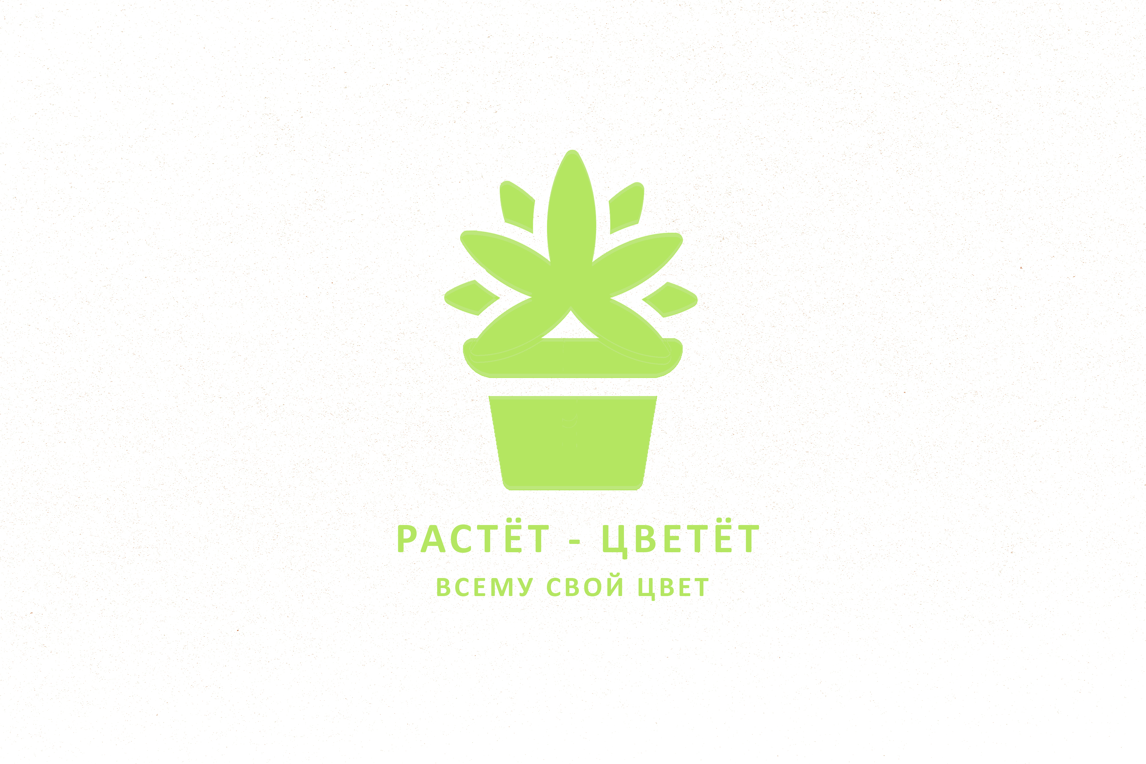ЦВЕТ 4.jpg