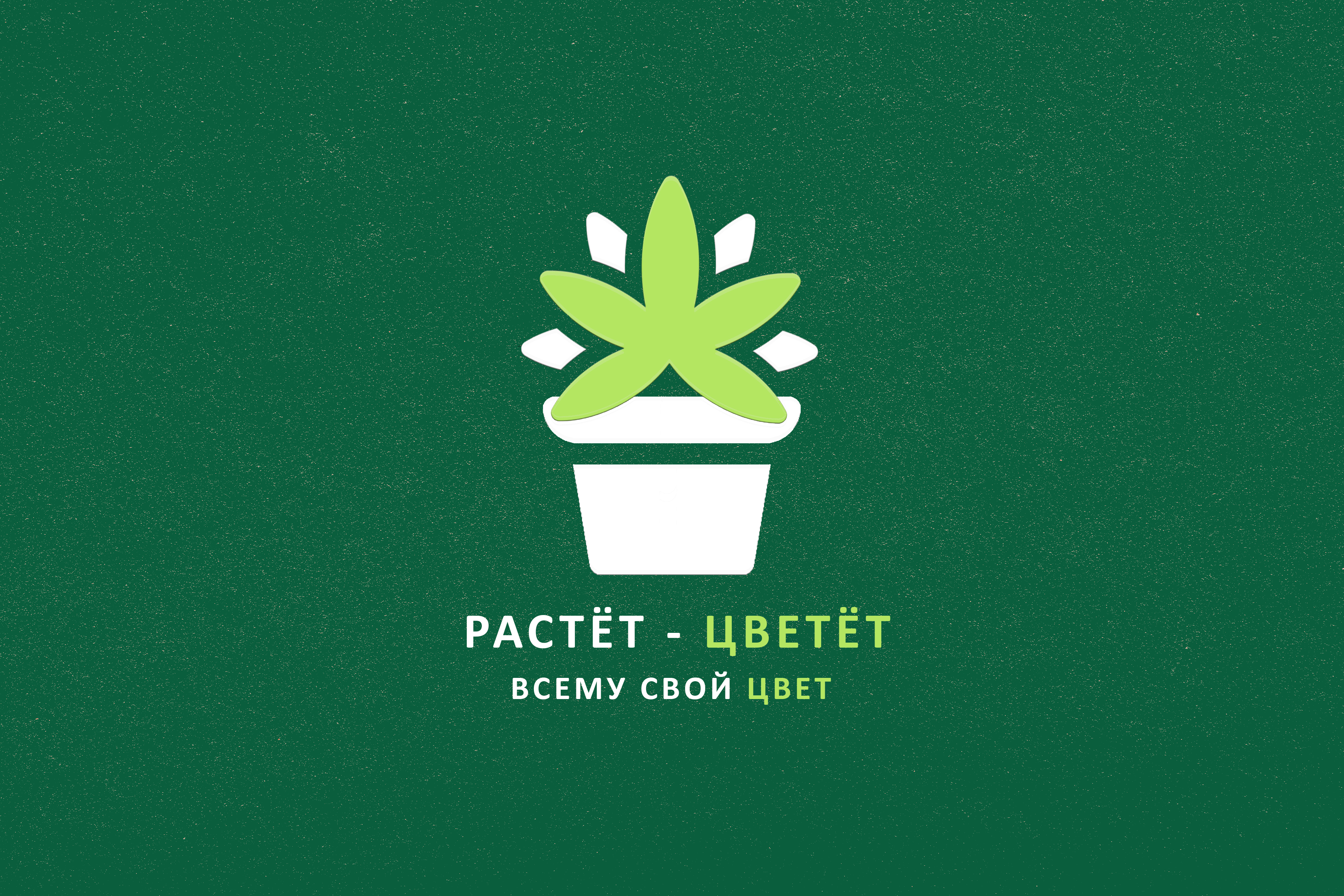 ЦВЕТ 1.jpg