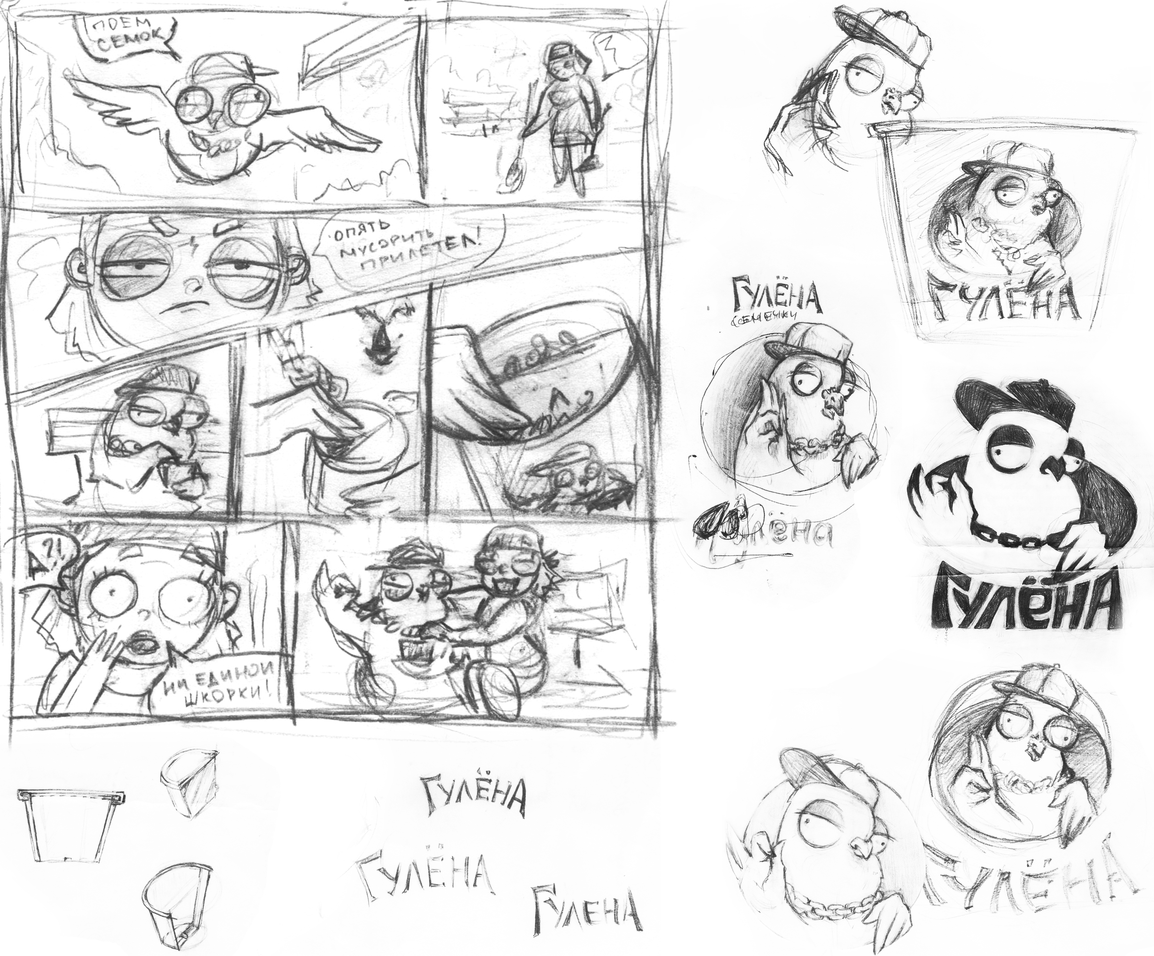 34344.jpg