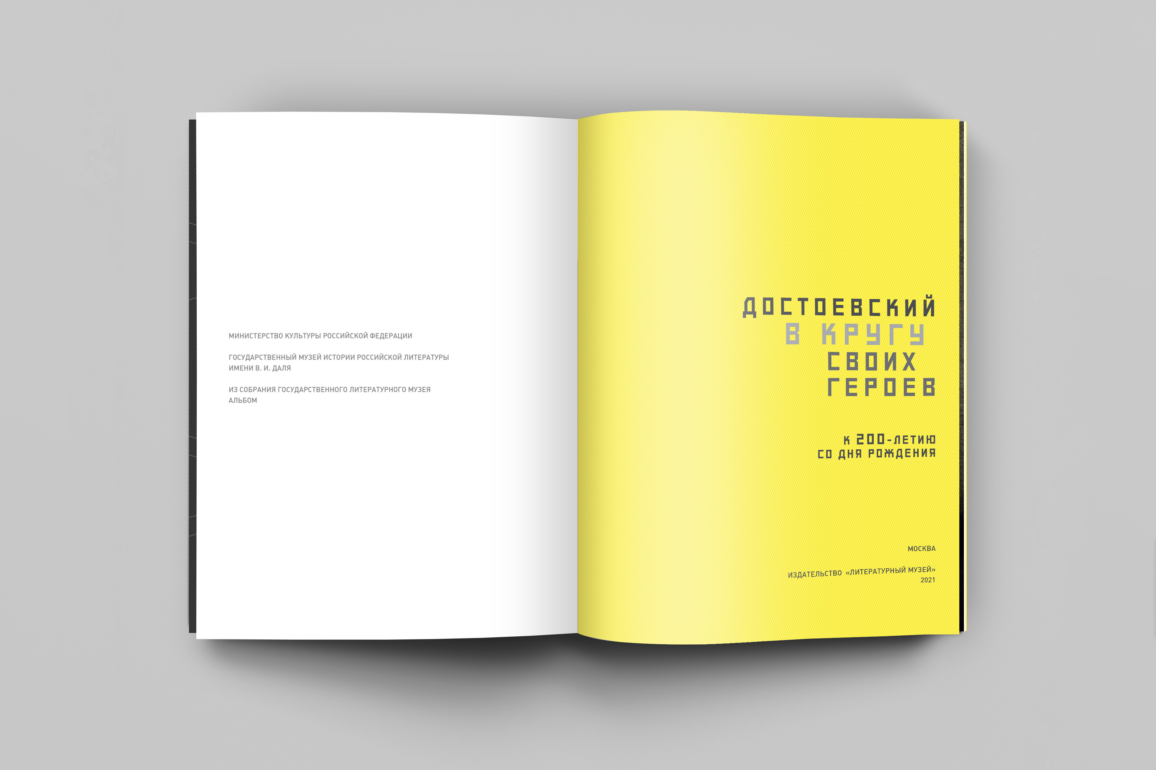 DST_VKSG_View_Mockup_02.jpg