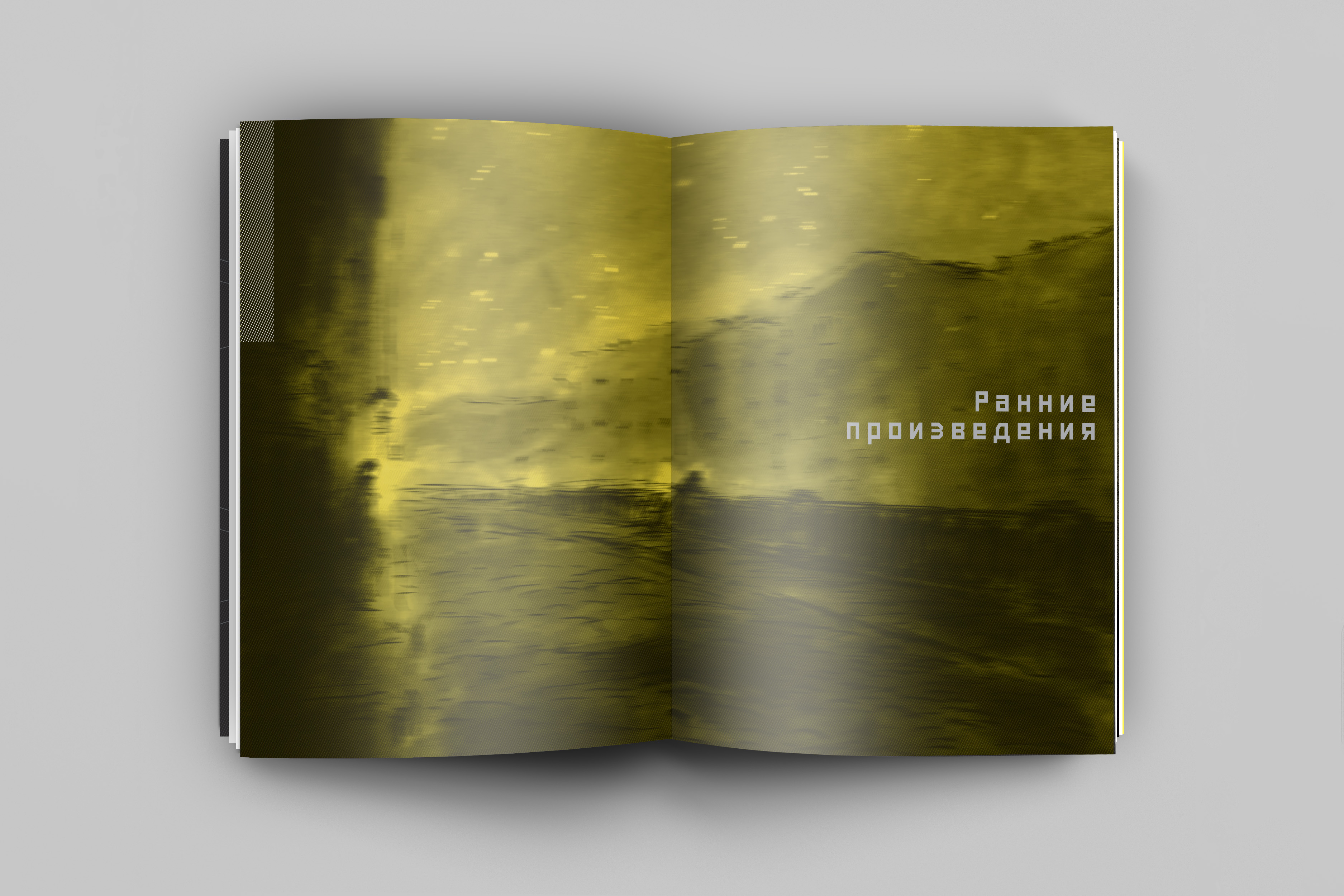 DST_VKSG_View_Mockup_06.jpg