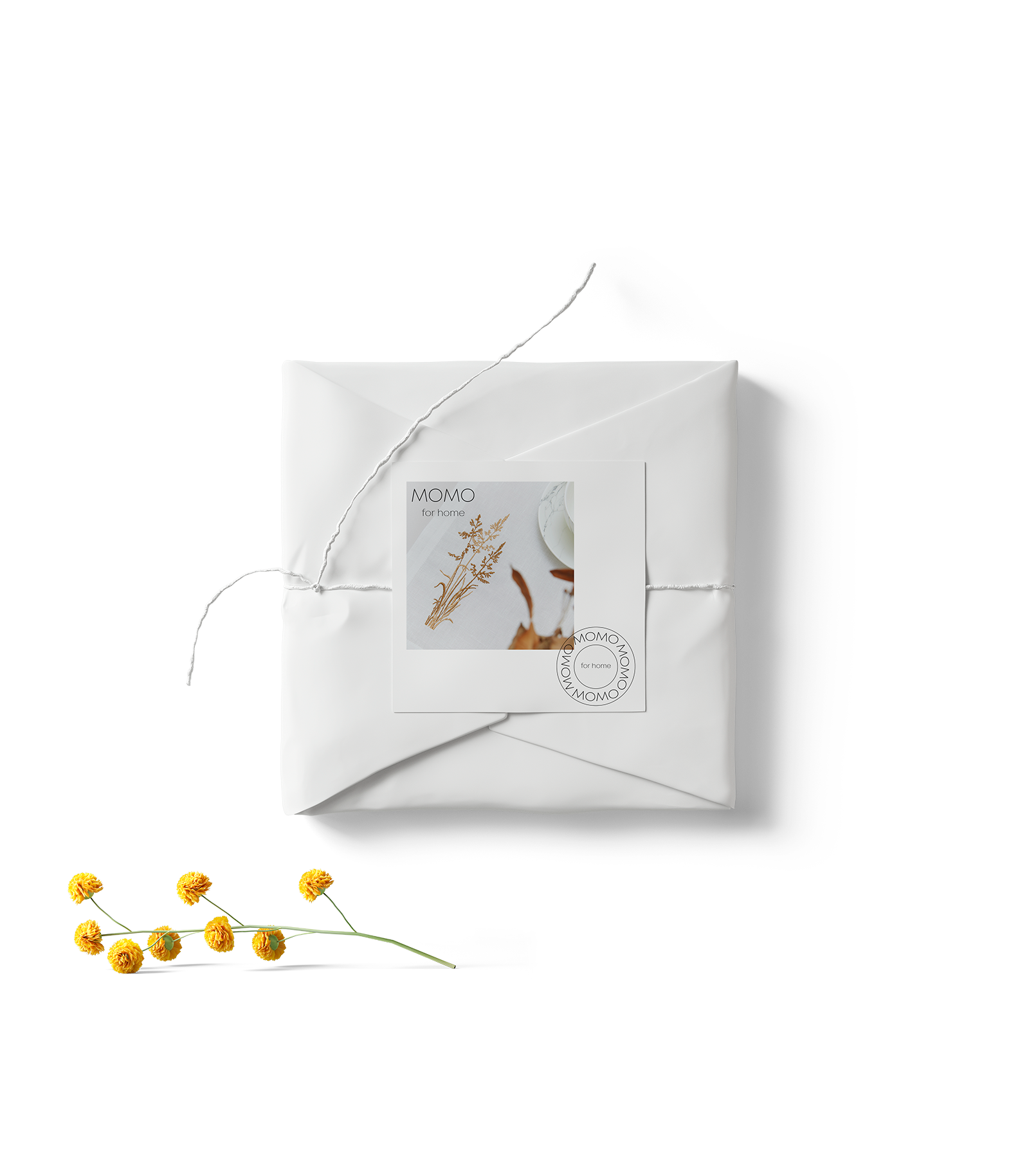 package-mockup-v2-top.png