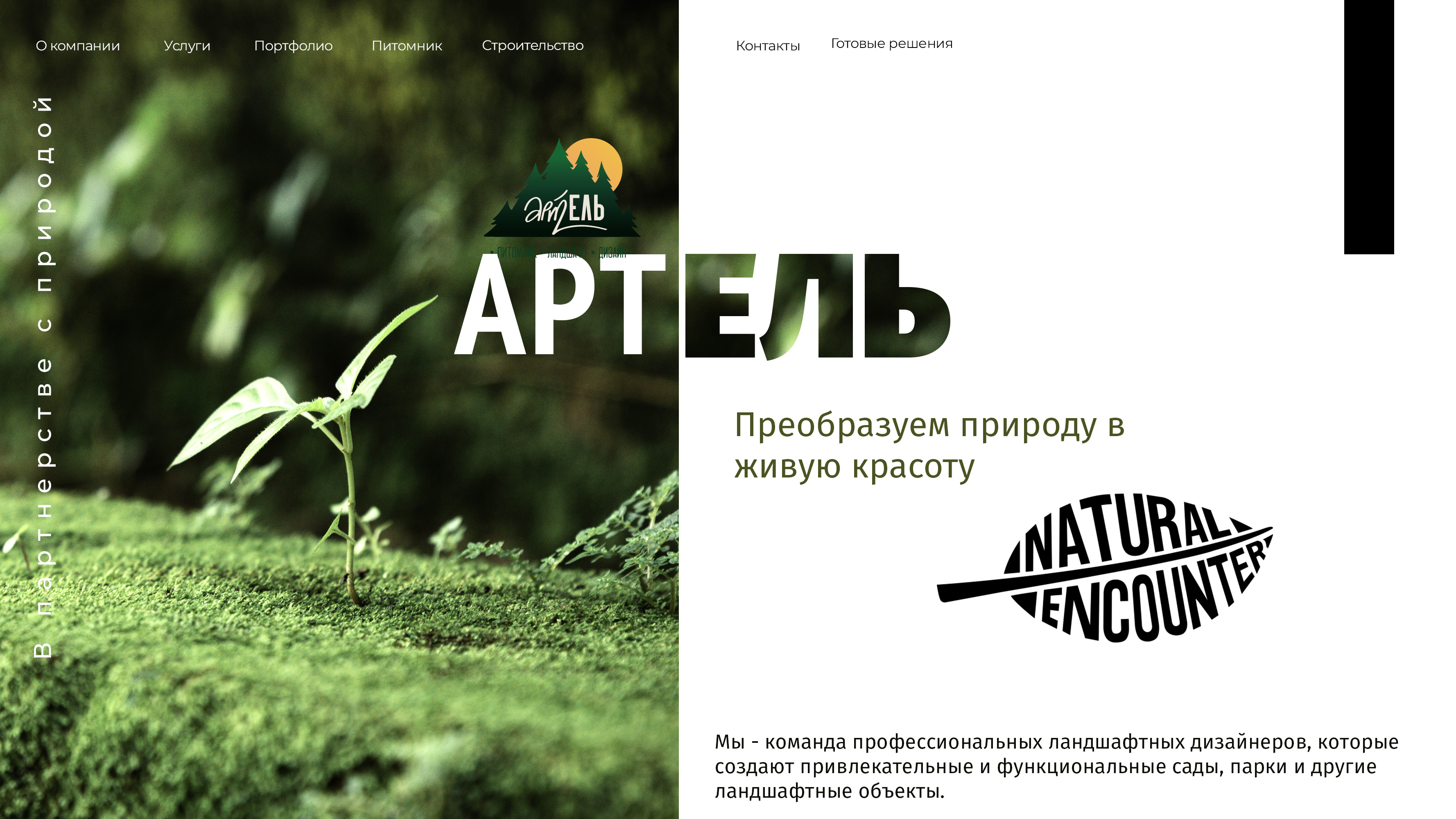 3992464.psd - уже.jpg