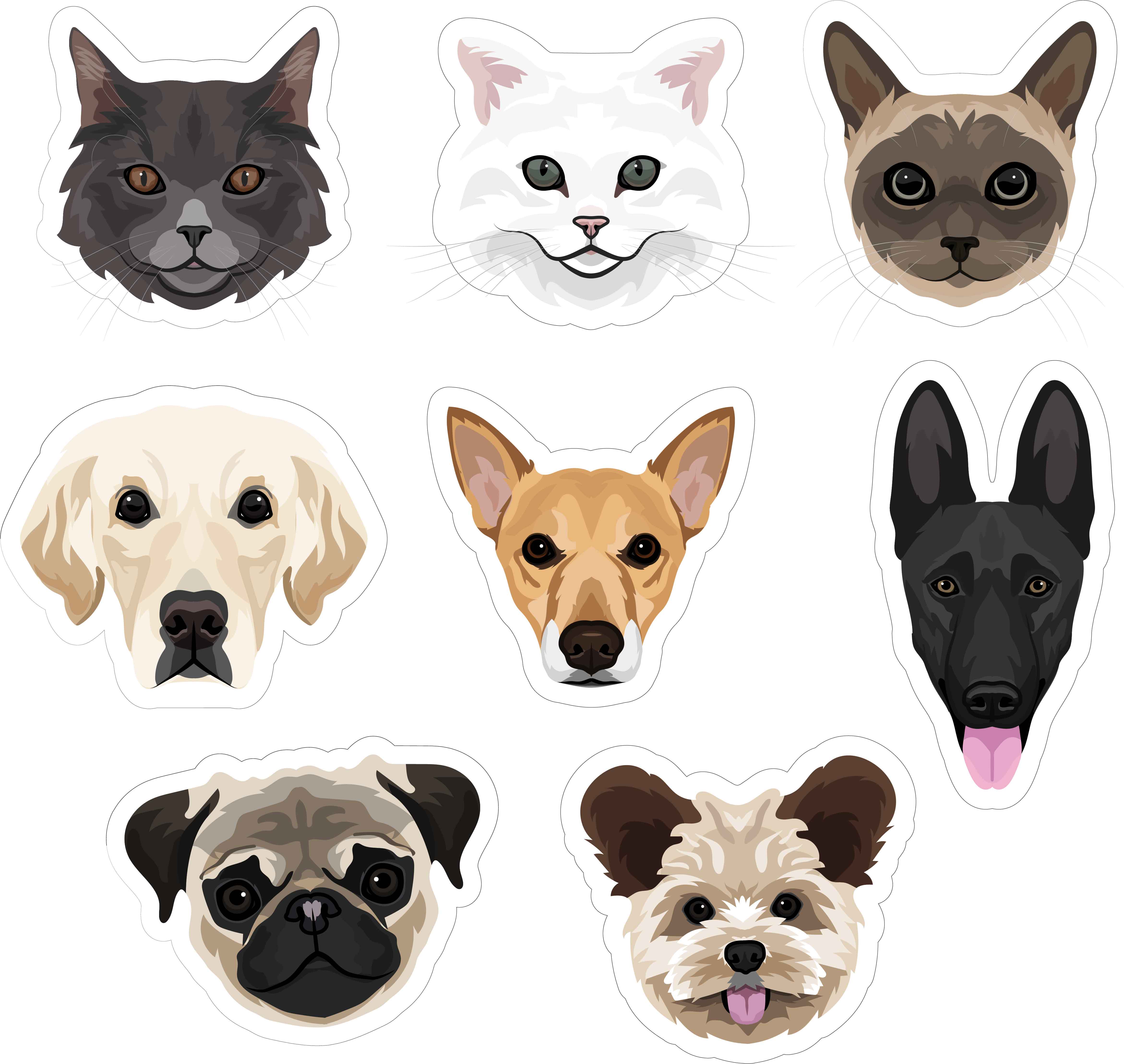 Cat and dog collection.jpg