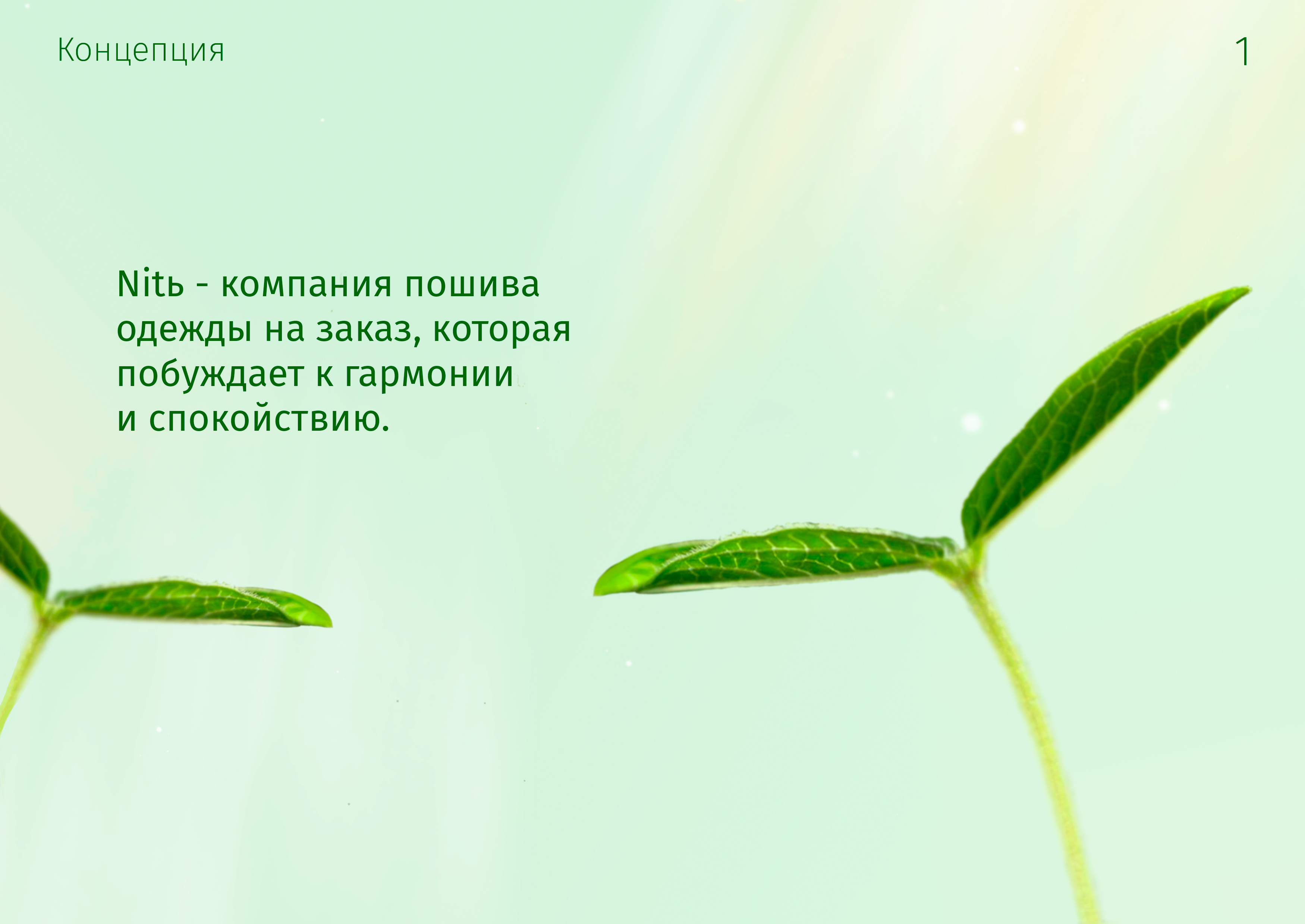 2 (без тени).jpg