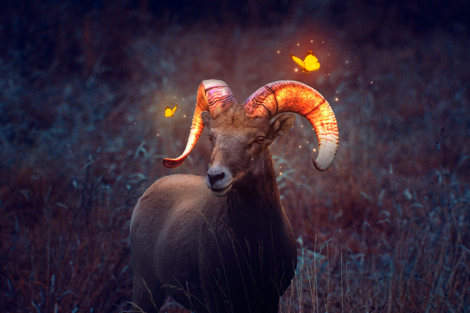 WhatsApp Image 2023-07-05 at 13.54.06 (2).jpeg