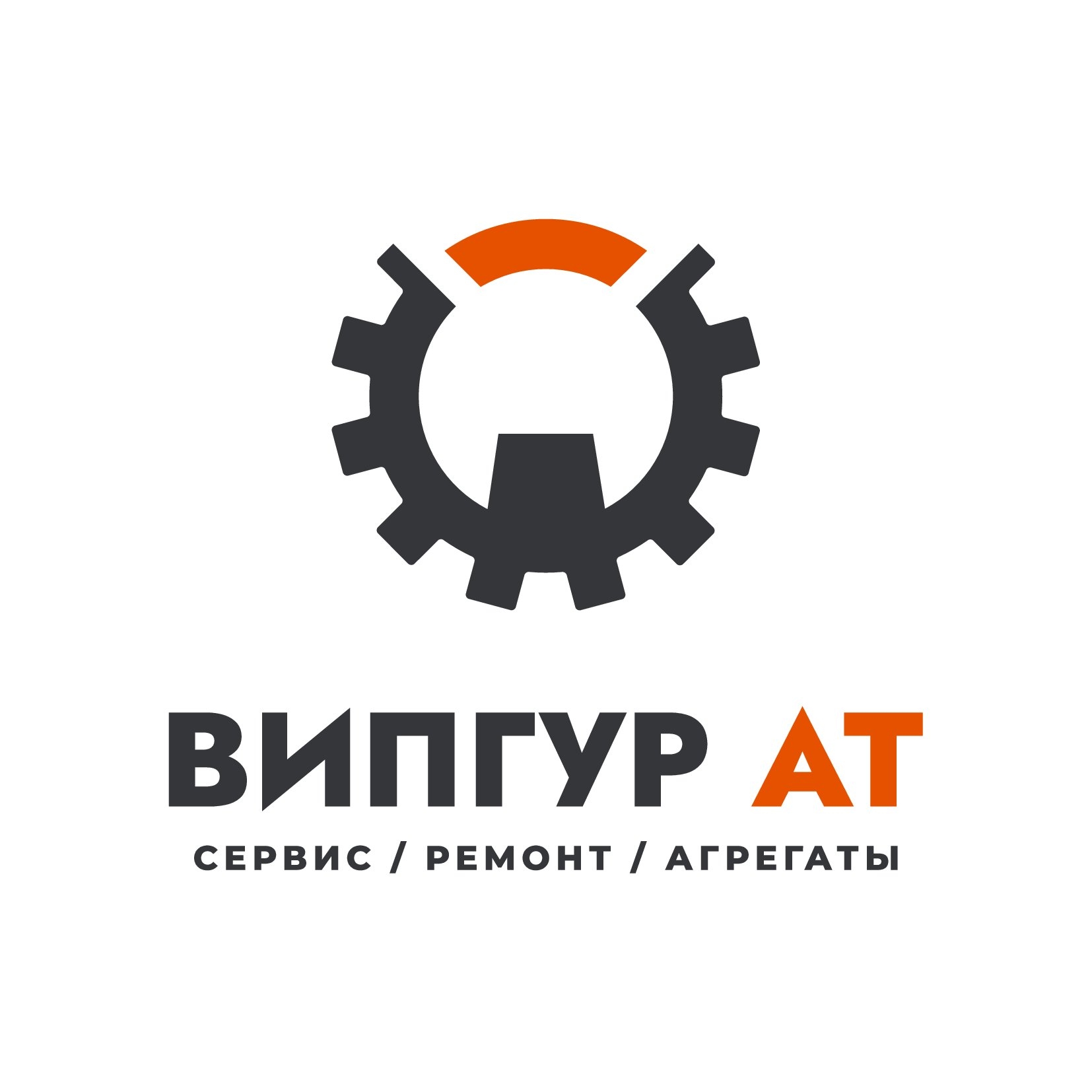 Лого ВИПГУР_00001.jpg