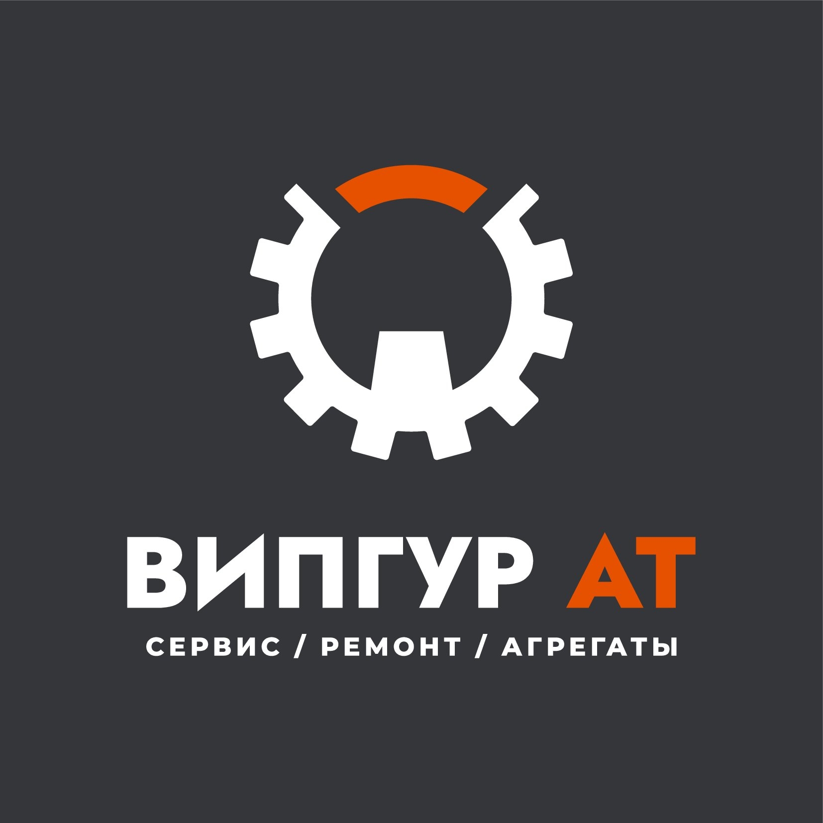 Лого ВИПГУР_00003.jpg