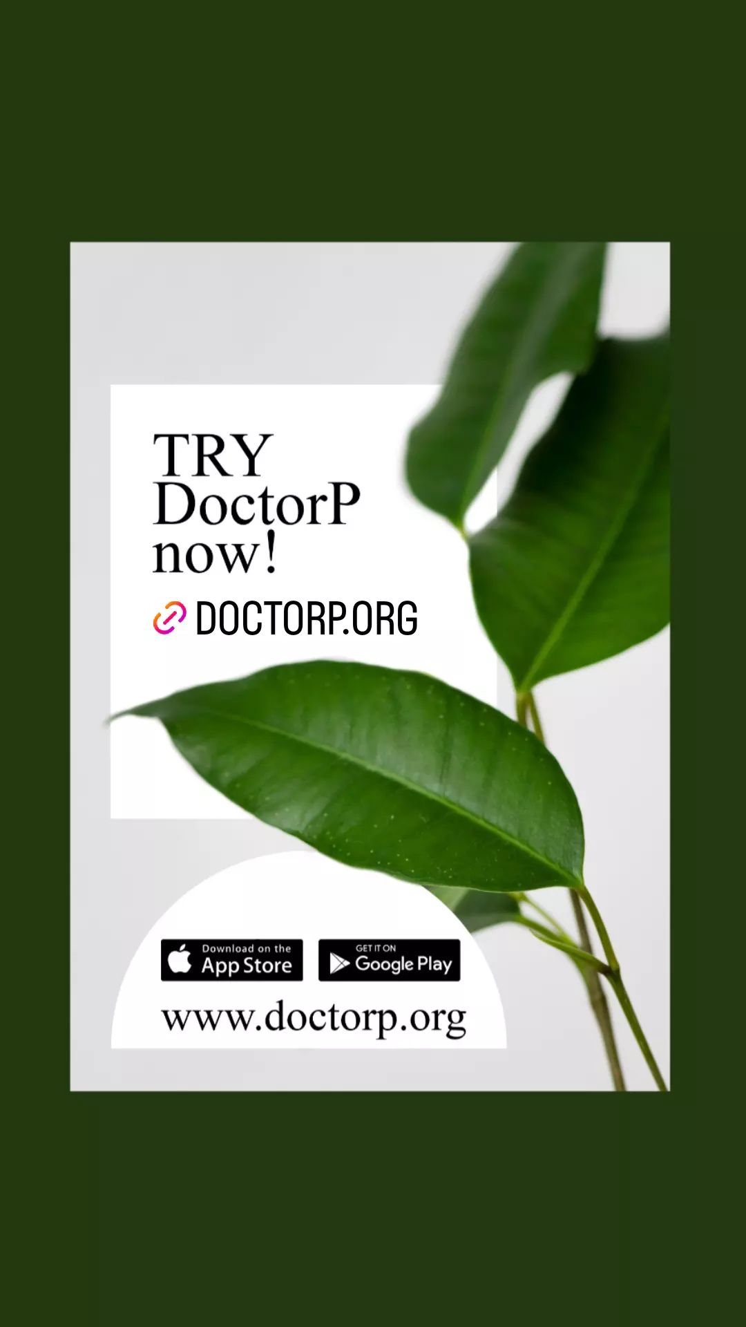 highlights - 18224296981223016.jpg