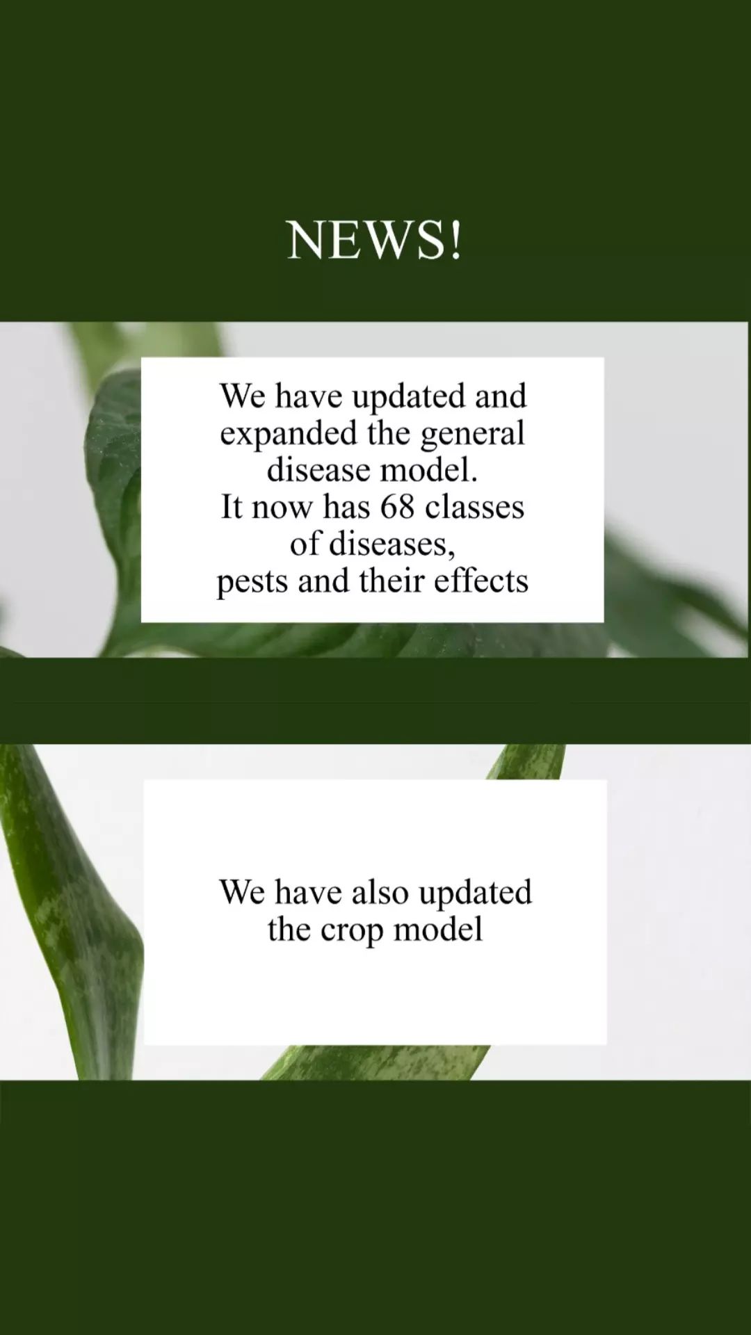 highlights - 18050828200475827.jpg