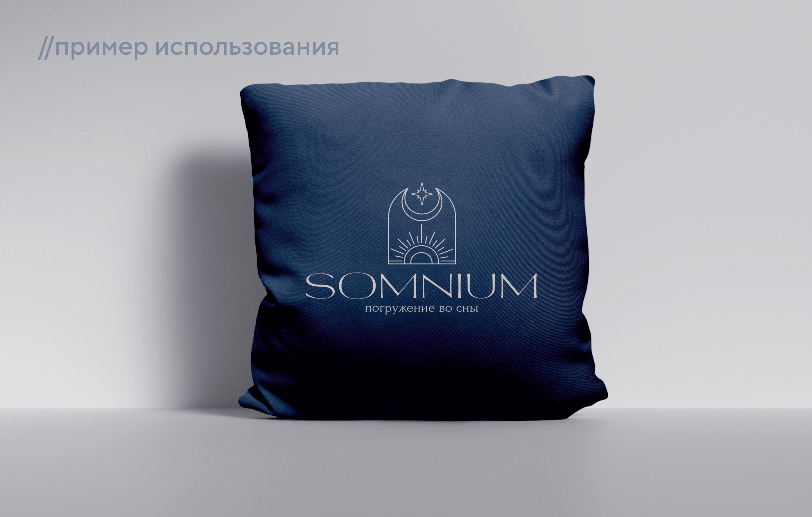 логобук сомниум-5.png