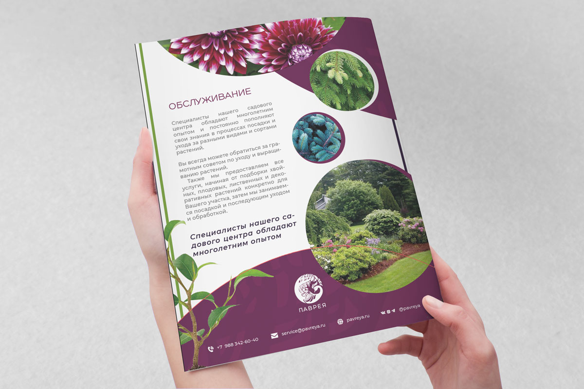 визуализ-брошюра-Паврея.jpg