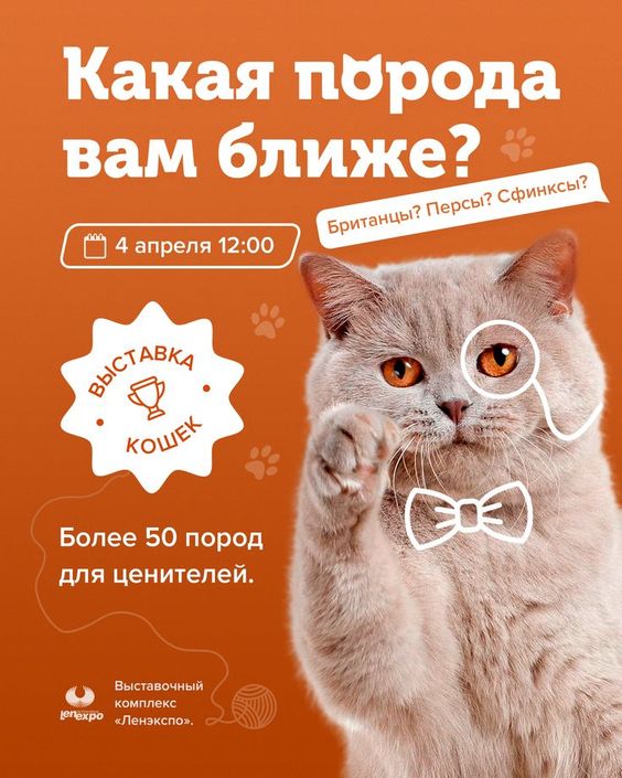 Дизайн.jpg