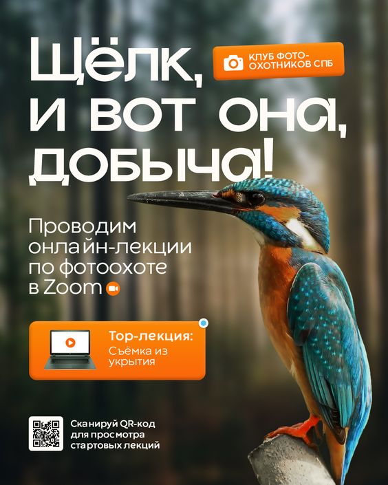 Дизайн.jpg