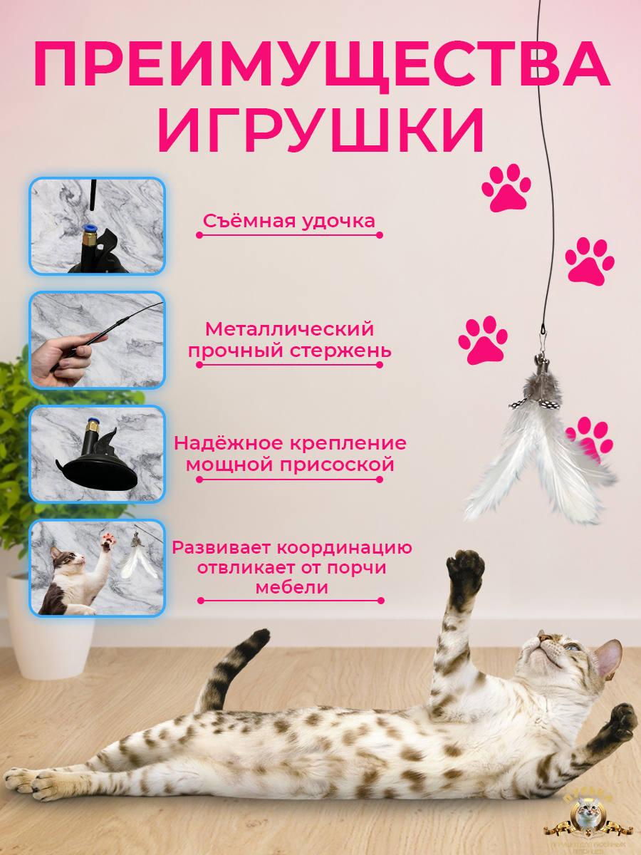 Картчока 2.jpg