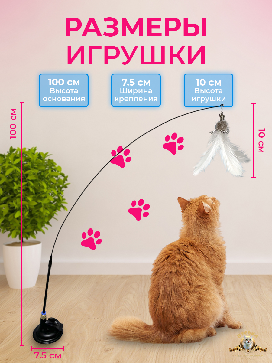 Картчока 3.jpg