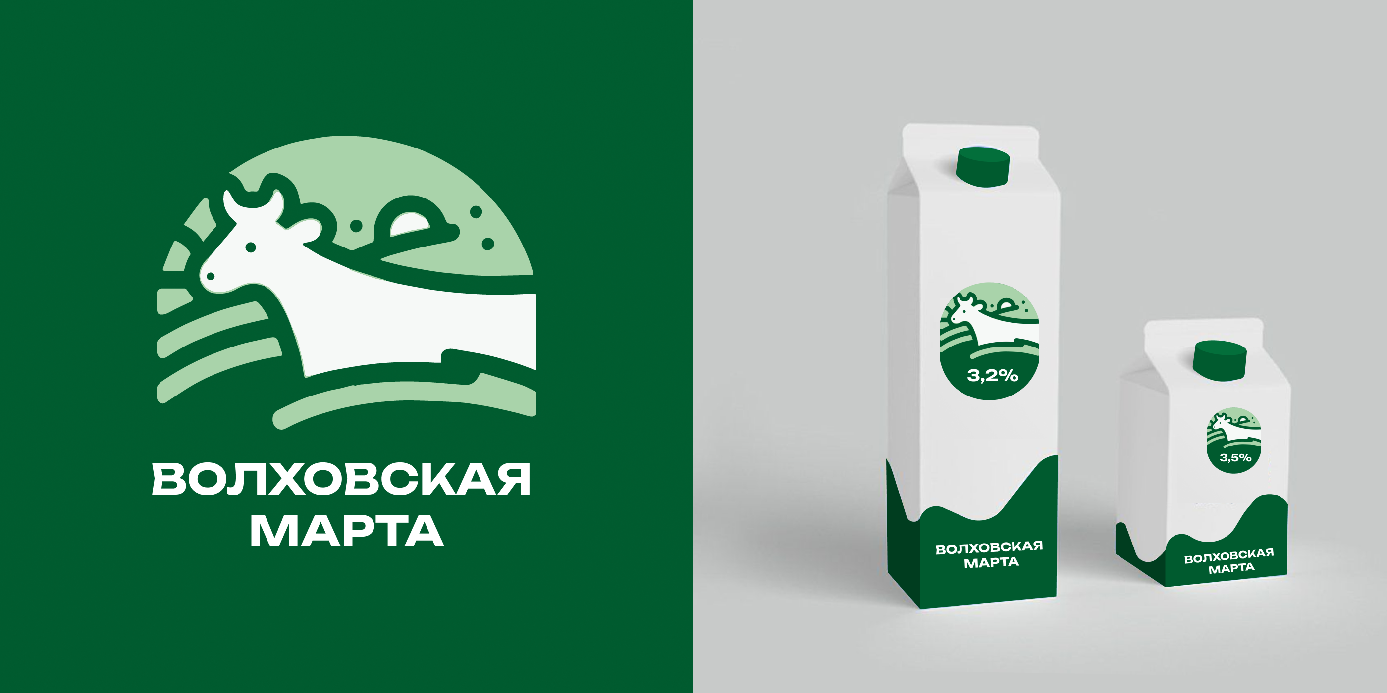 вм портфолио.png