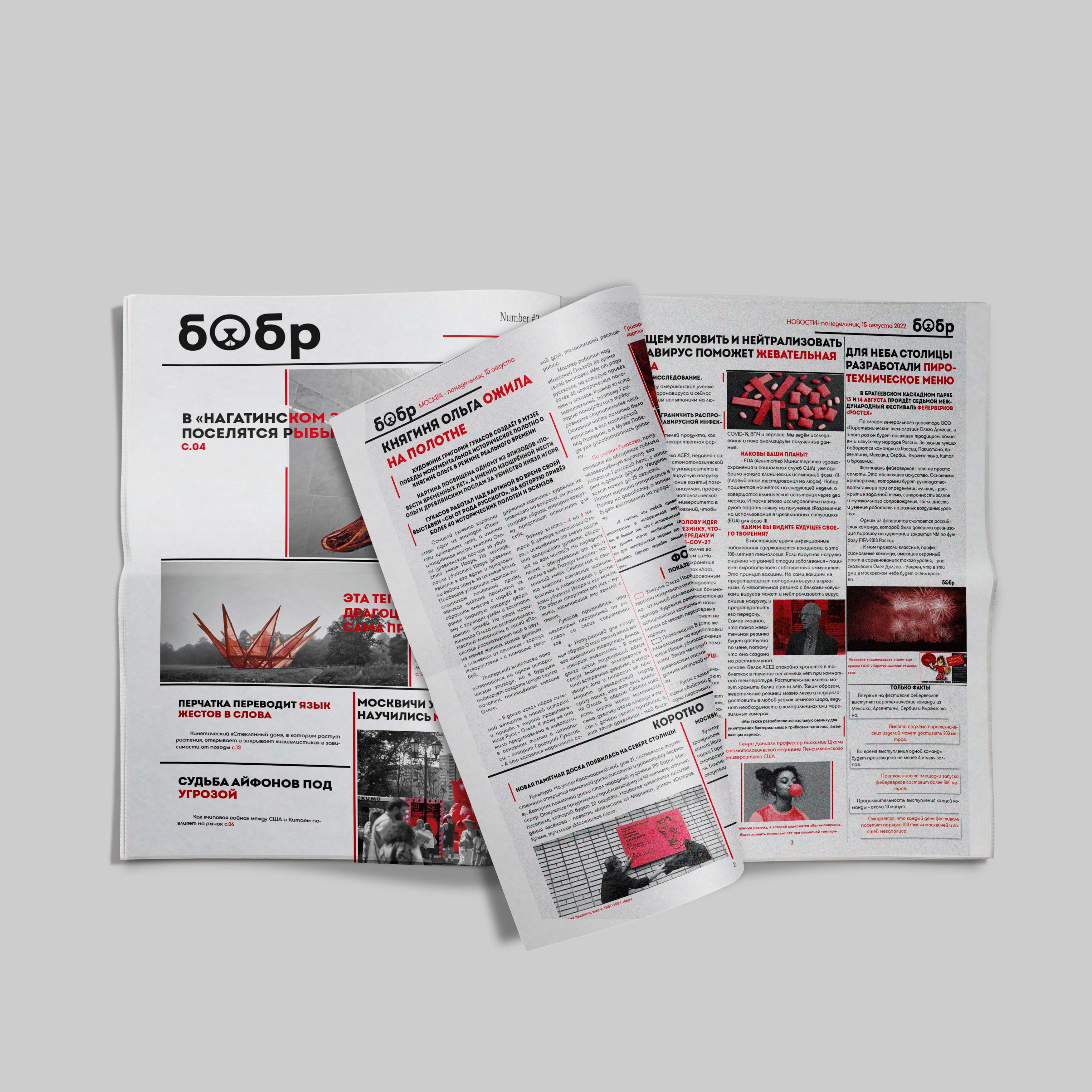 мокап развороты.jpg